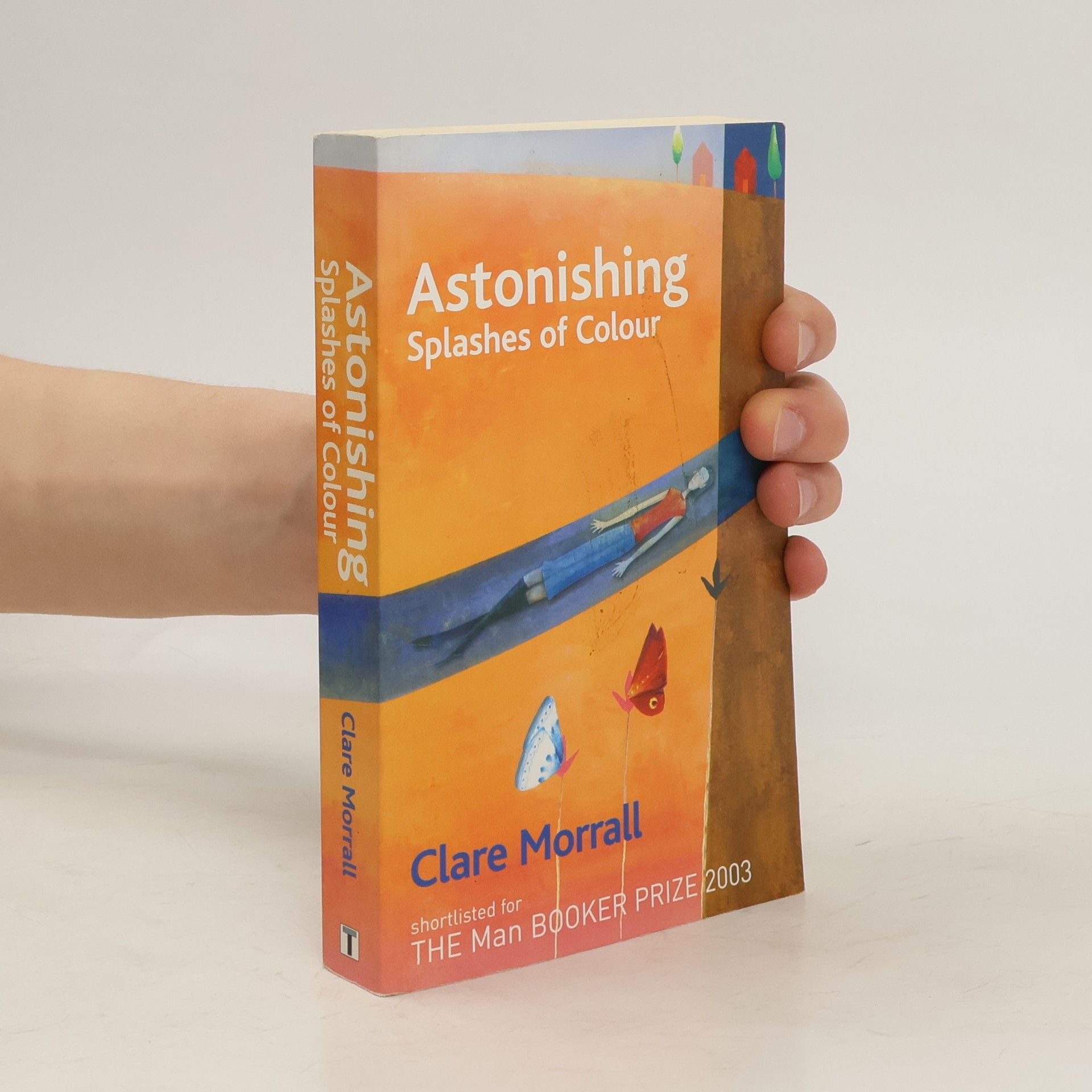 Clare Morrall Astonishing Splashes of Colour