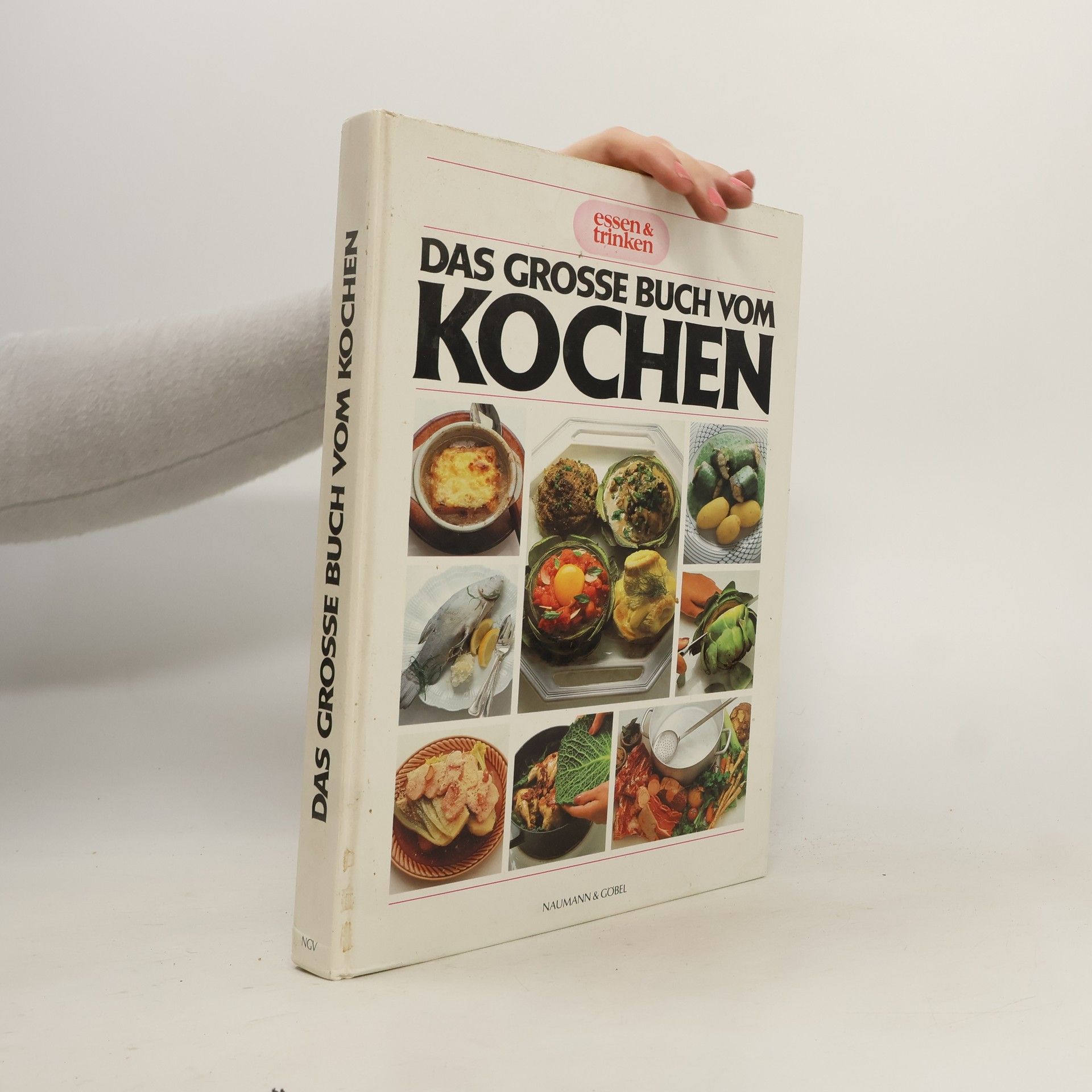 Autorenkollektiv Das Grosse Buch vom Kochen