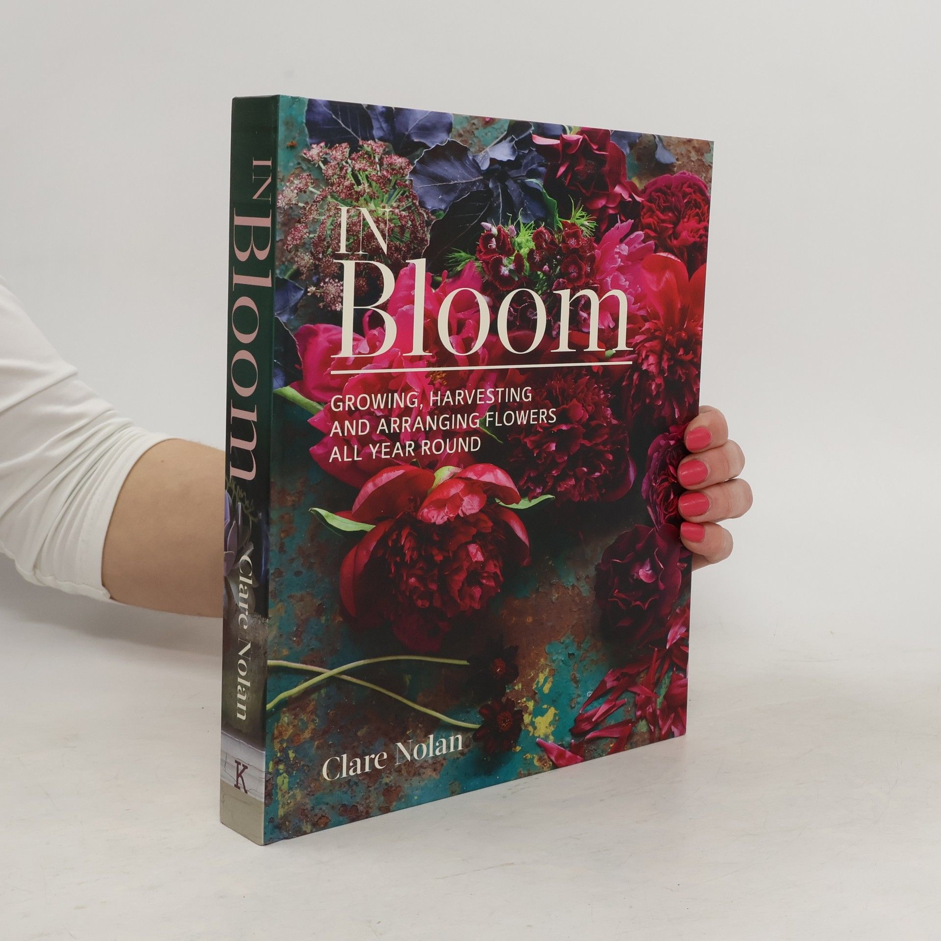 Clare Nolan In bloom