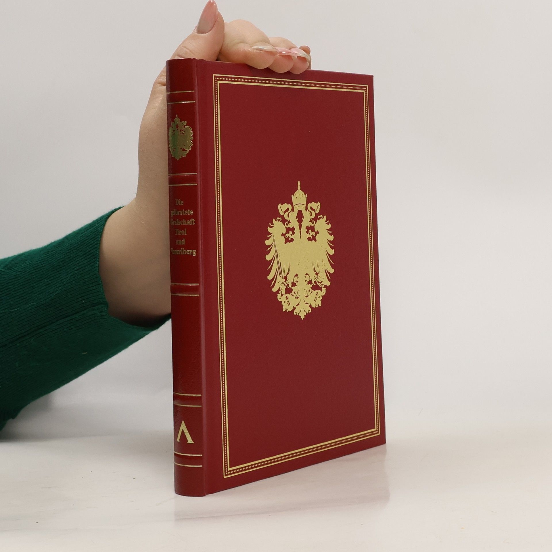 Friedrich Umlauft Die Länder Oesterreich Ungarns in Wort und Bild: Die gefürstete Grafschaft Ciral und Vorarlberg