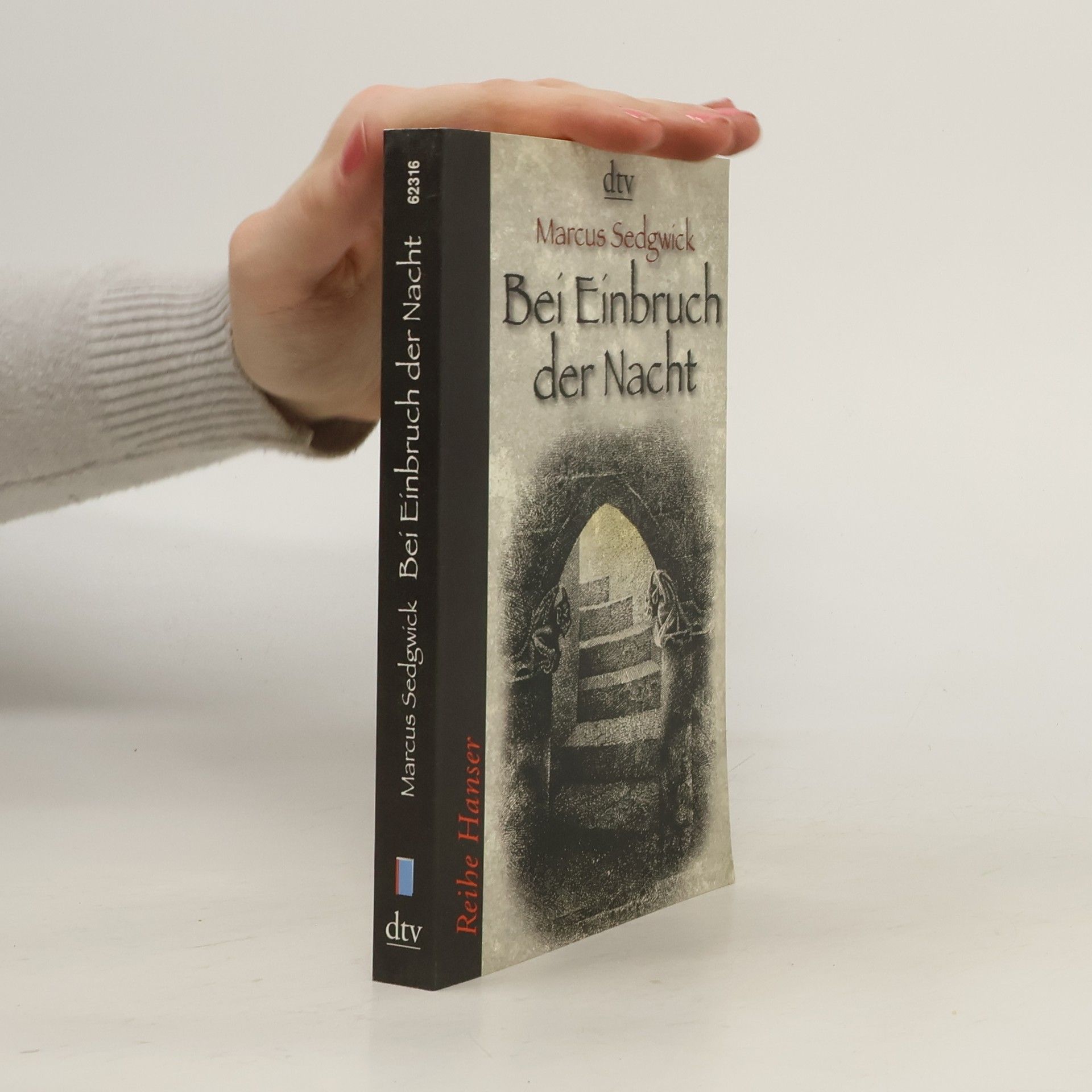 Marcus Sedgwick Bei Einbruch der Nacht