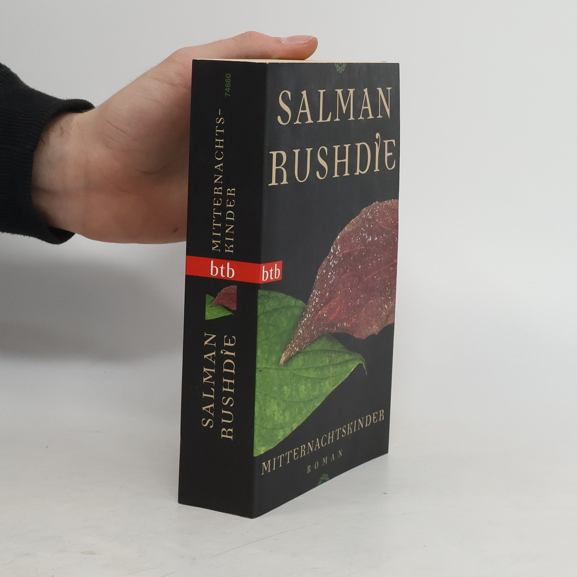 Salman Rushdie Mitternachtskinder