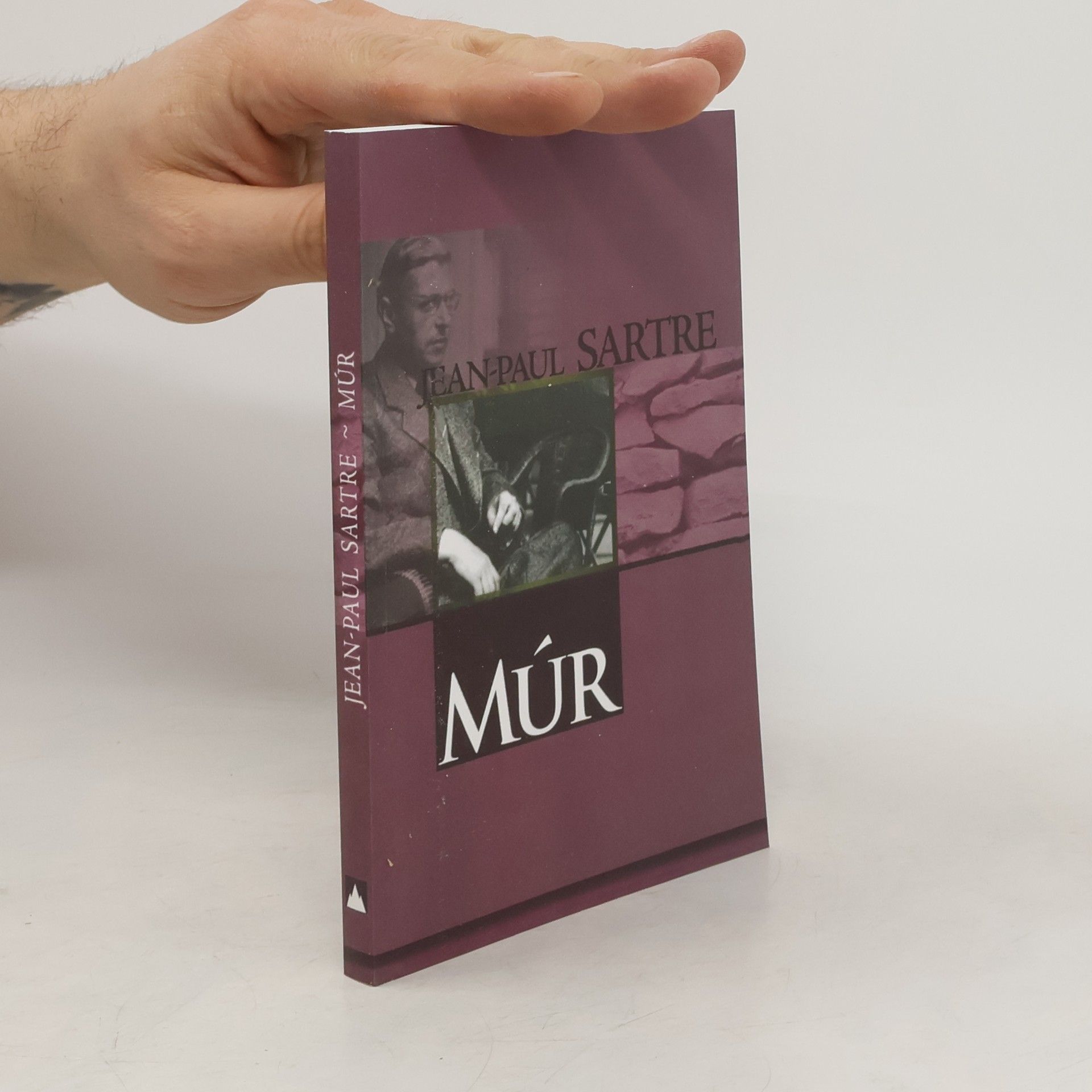 Jean Paul Sartre Múr