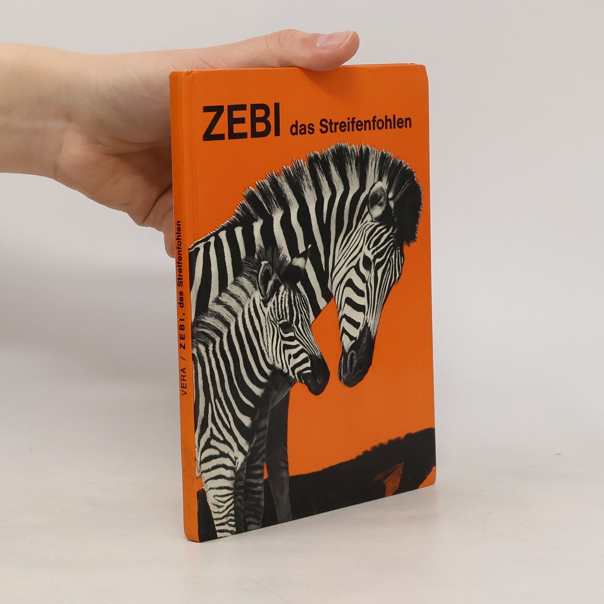 Autorenkollektiv Zebi das Streifenfohlen