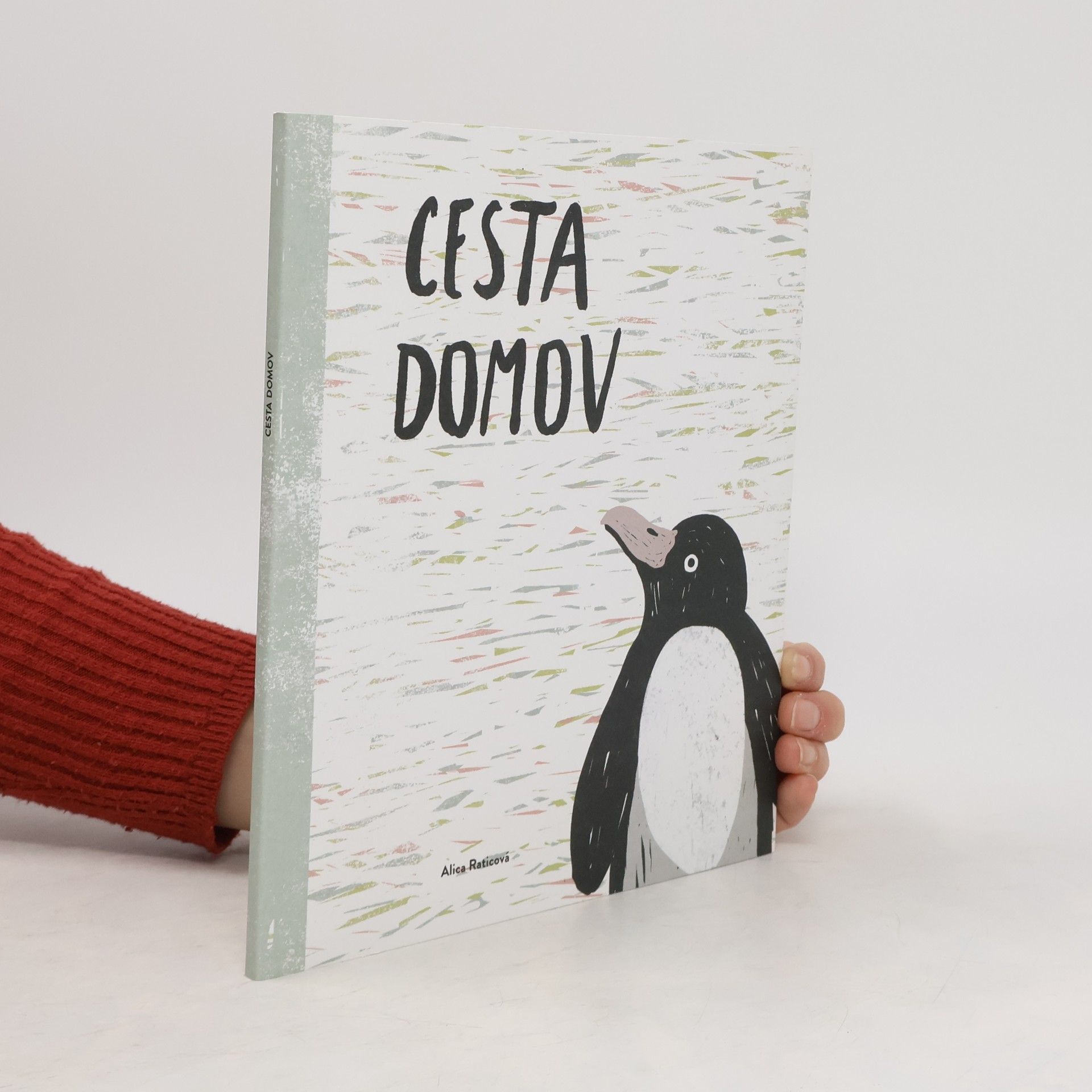 Alica Raticová Cesta domov