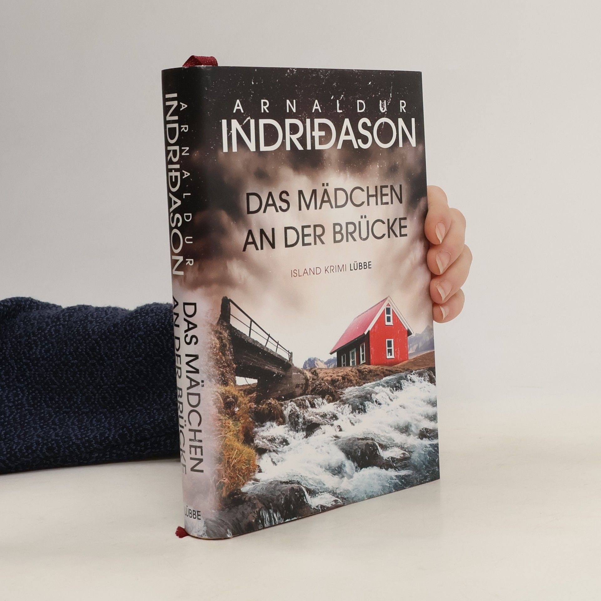 Arnaldur Indridason Das Mädchen an der Brücke