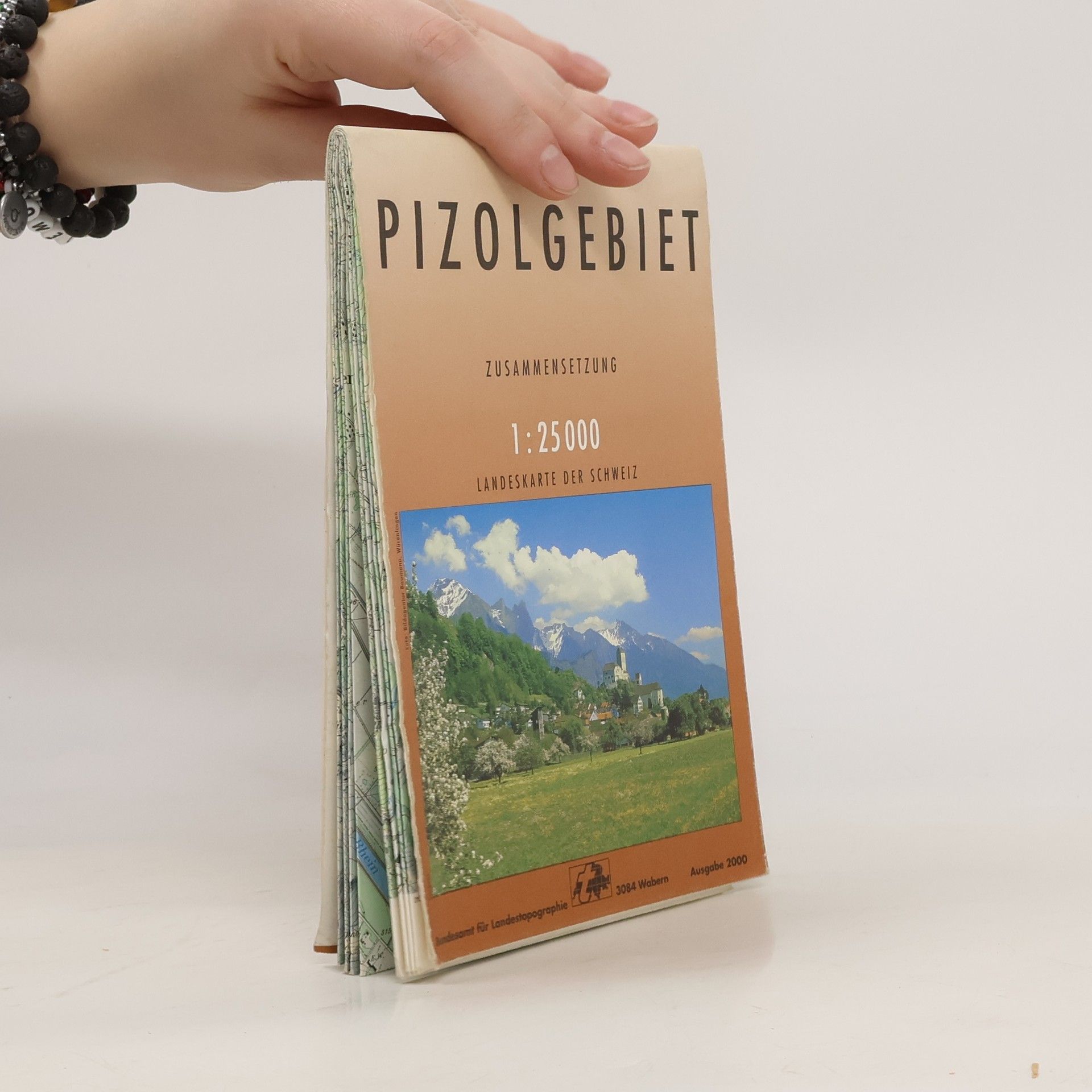 Autores varios Pizolgebiet 1:25000