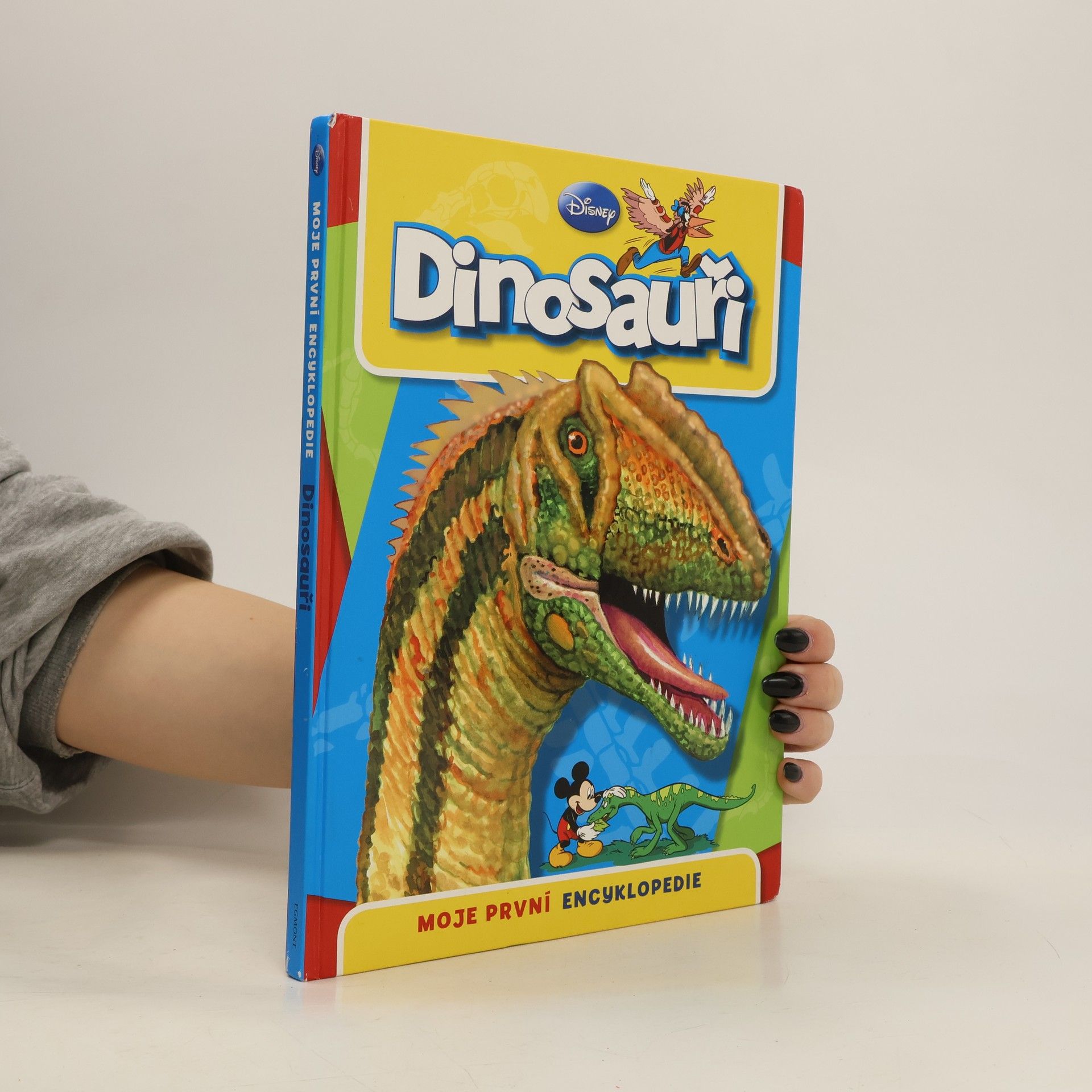 Michael Fokt Dinosauři: Moje první encyklopedie