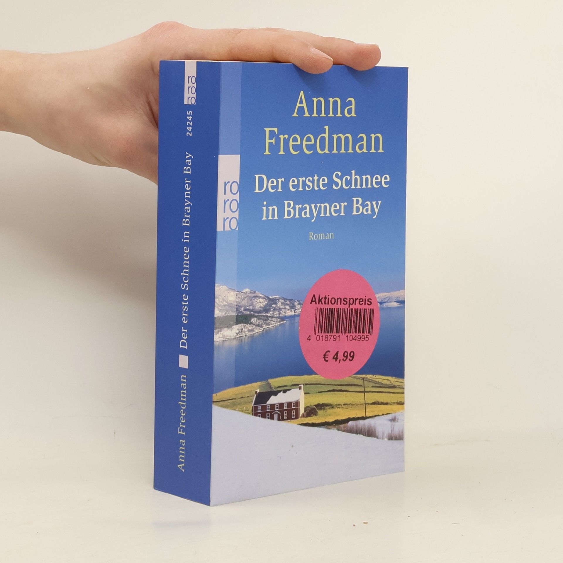 Anna Freedman Der erste Schnee in Brayner Bay