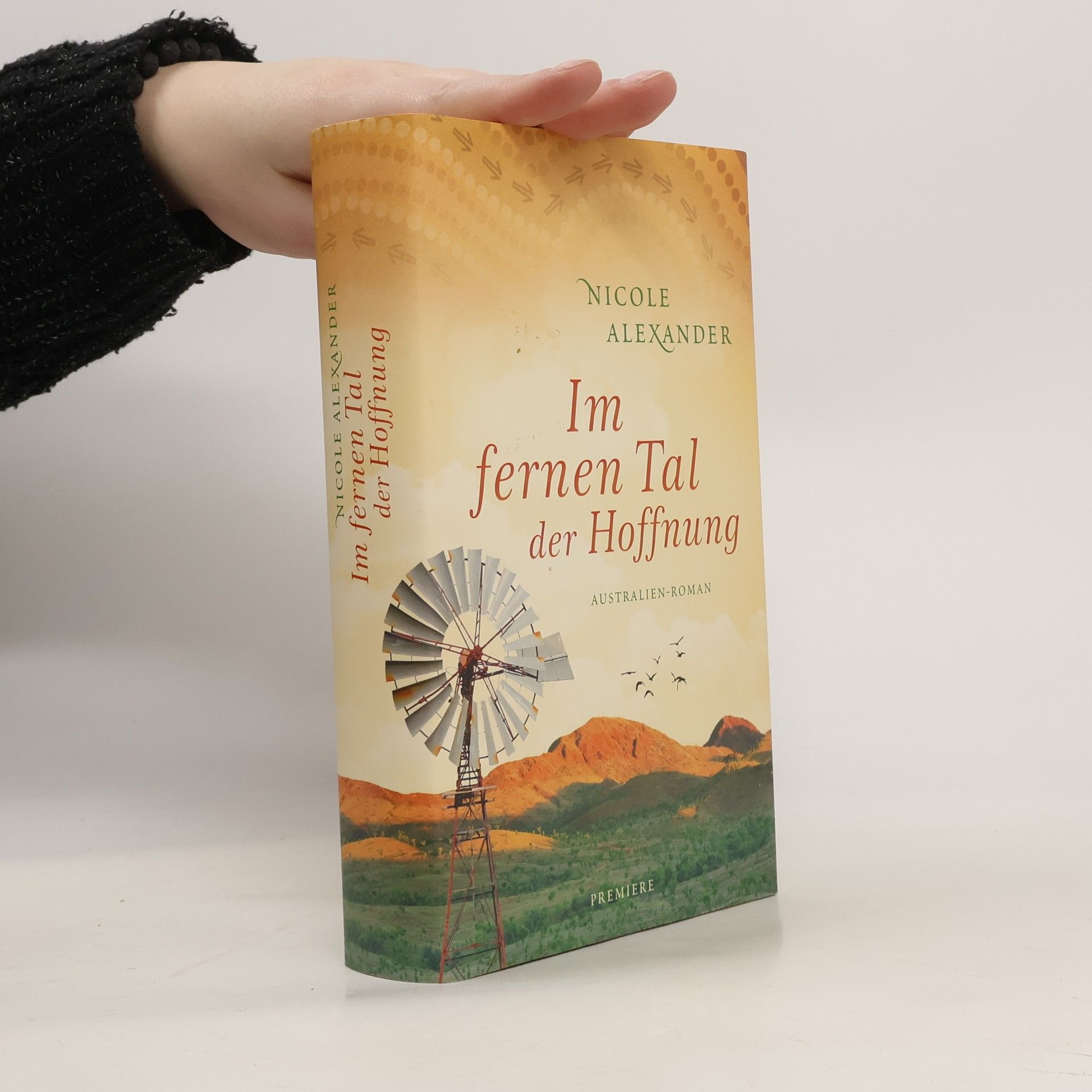 Nicole Alexander Im fernen Tal der Hoffnung