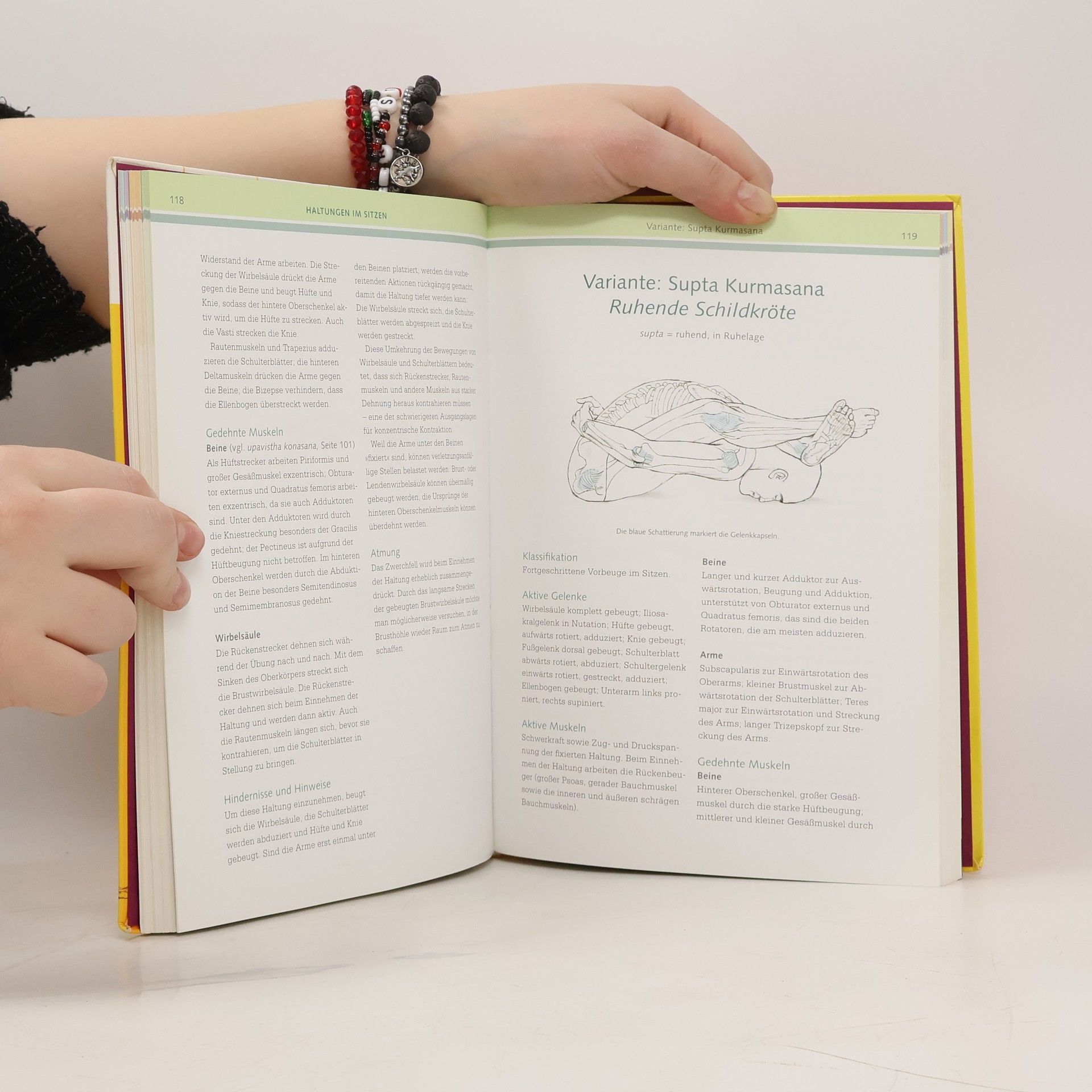 Leslie Kaminoff Yoga-Anatomie