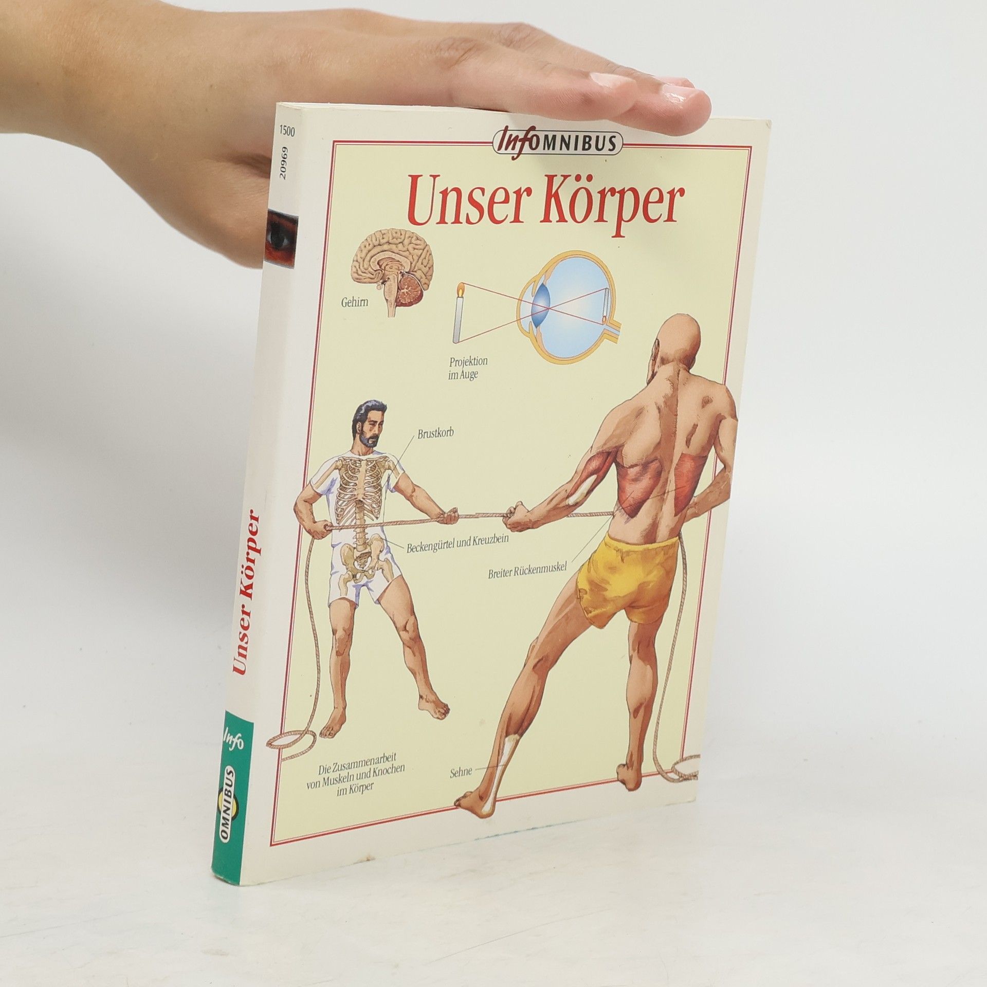 Barbara Gallavotti Unser Körper