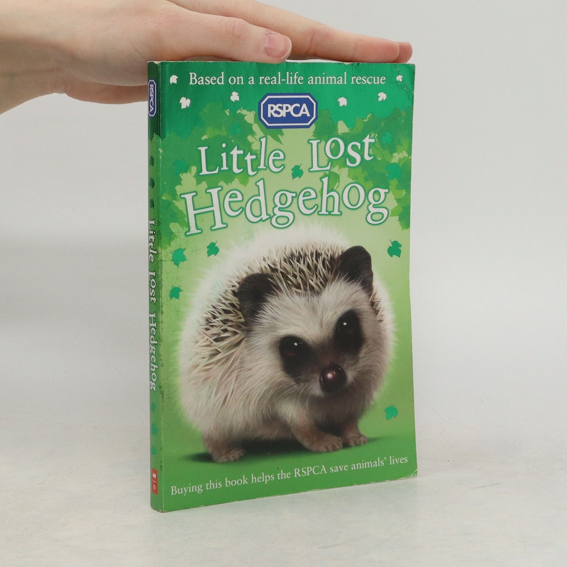 Jill Hucklesby Little Lost Hedgehog