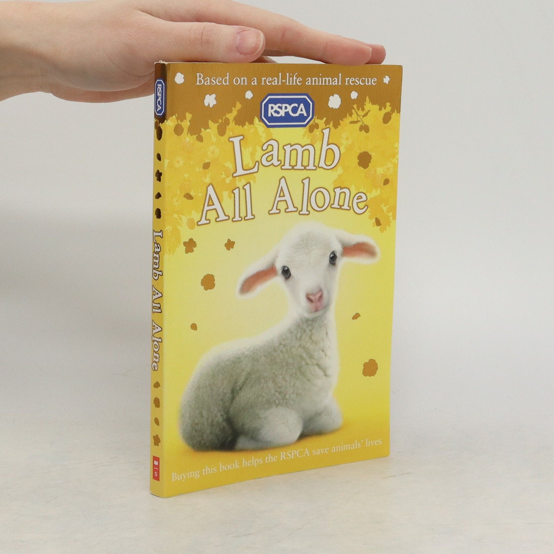 Katie Davies Lamb All Alone