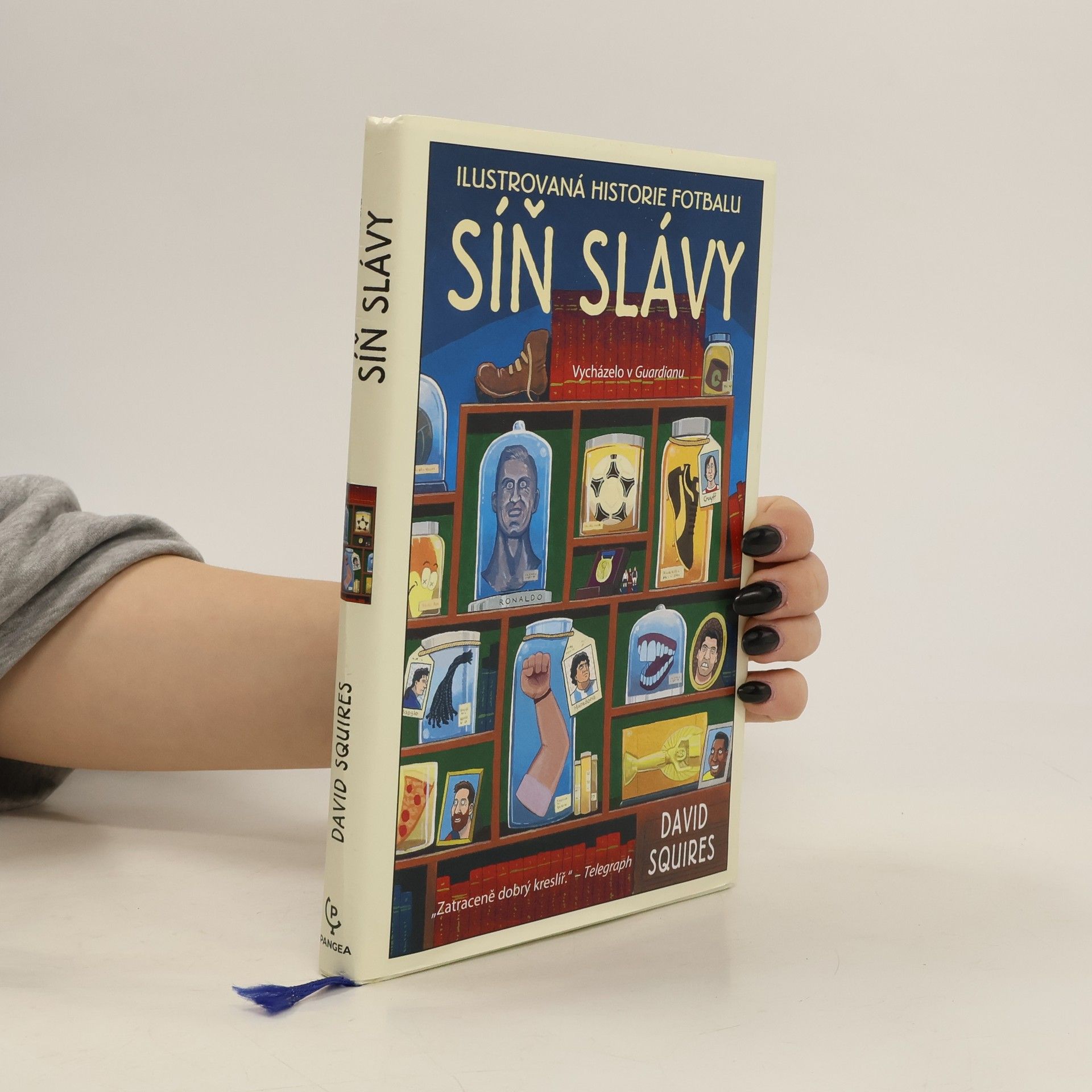 David Squires Ilustrovaná historie fotbalu: Síň slávy