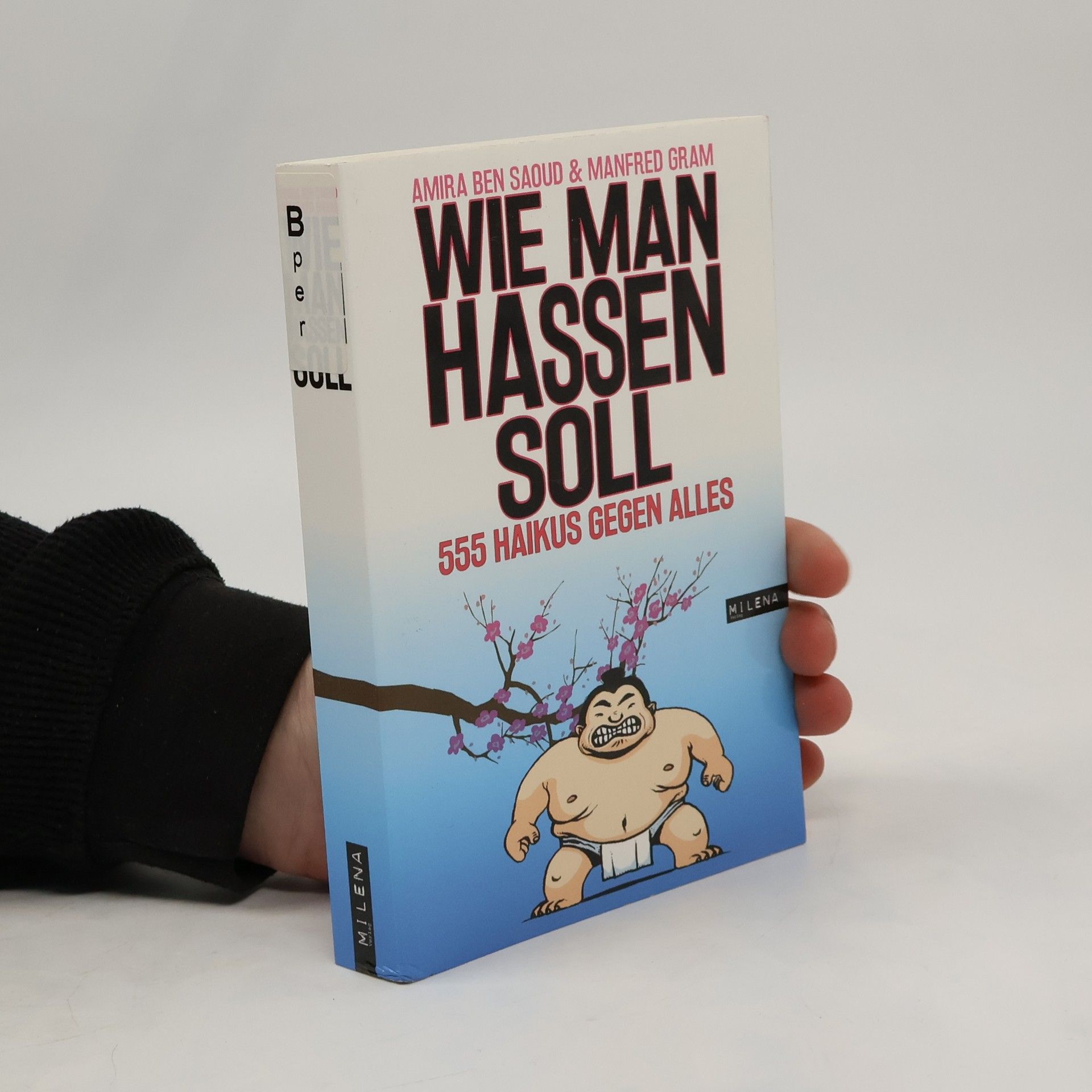 Manfred Gram Wie man hassen soll