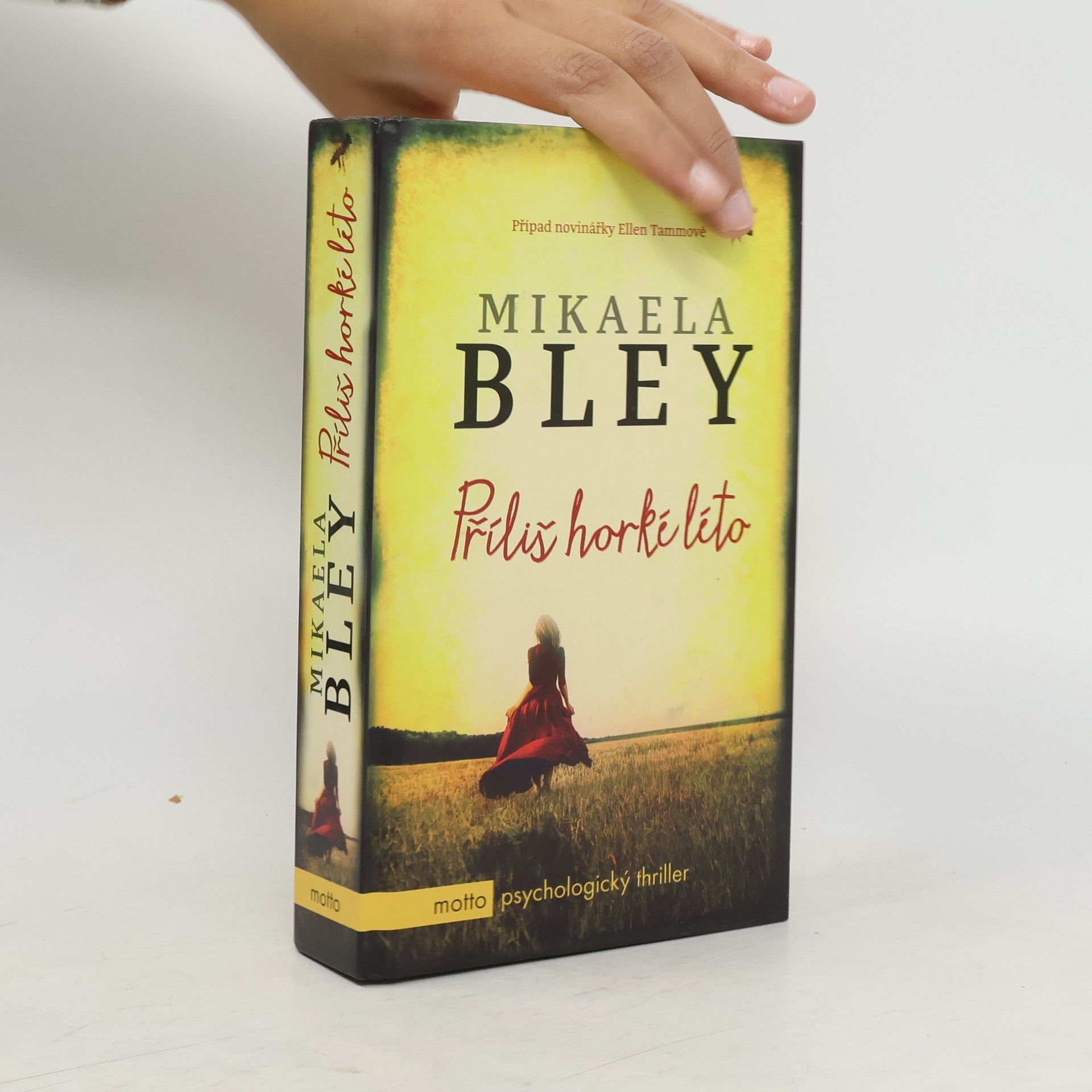 Mikaela Bley Příliš horké léto