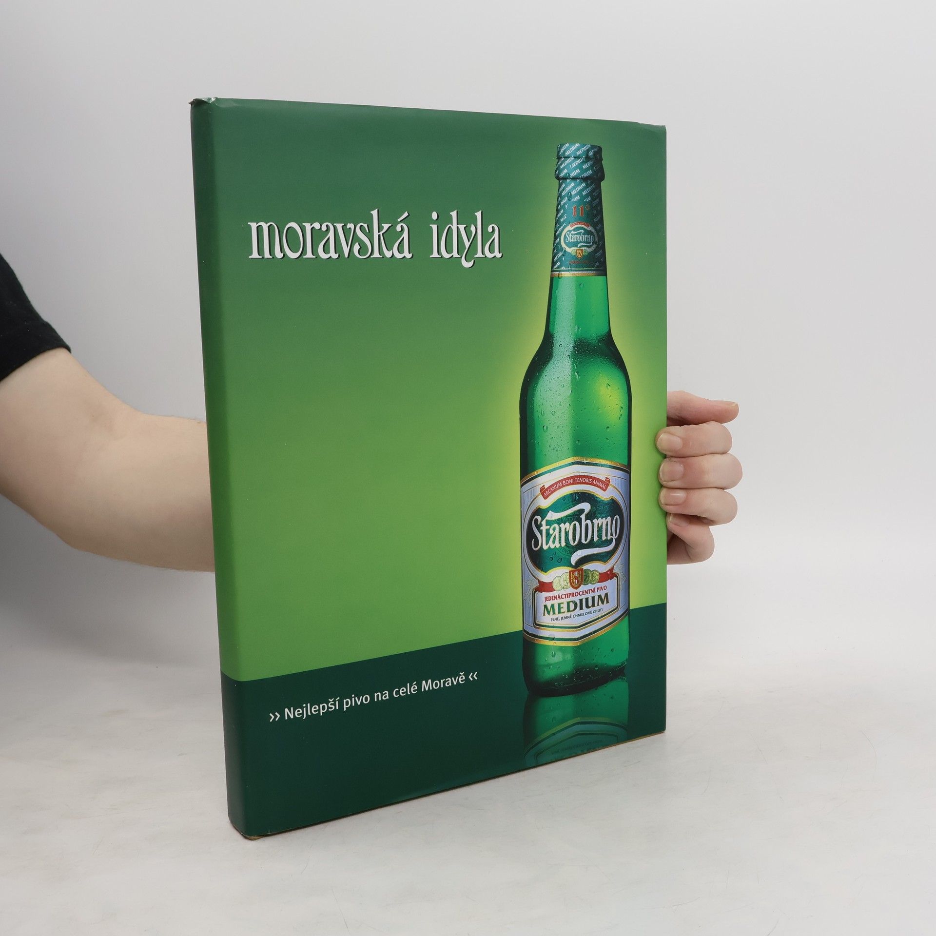 Autorenkollektiv Moravská idyla