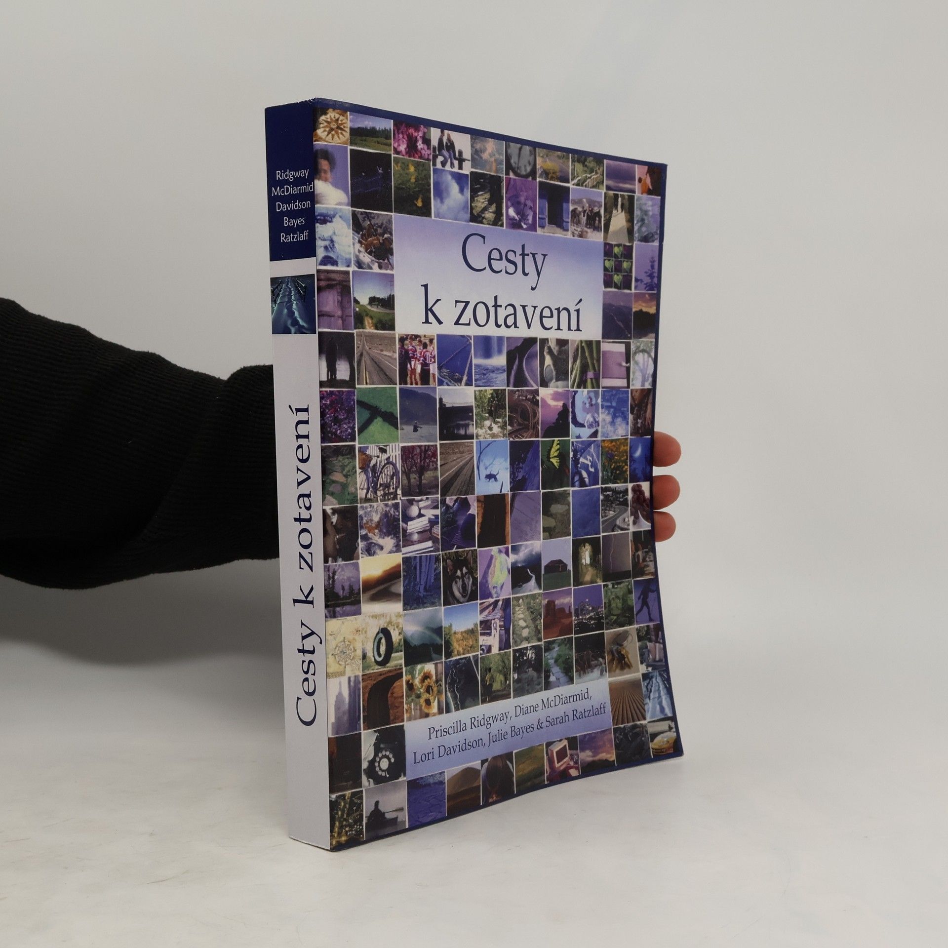 Kolektív autorov Cesty k zotavení