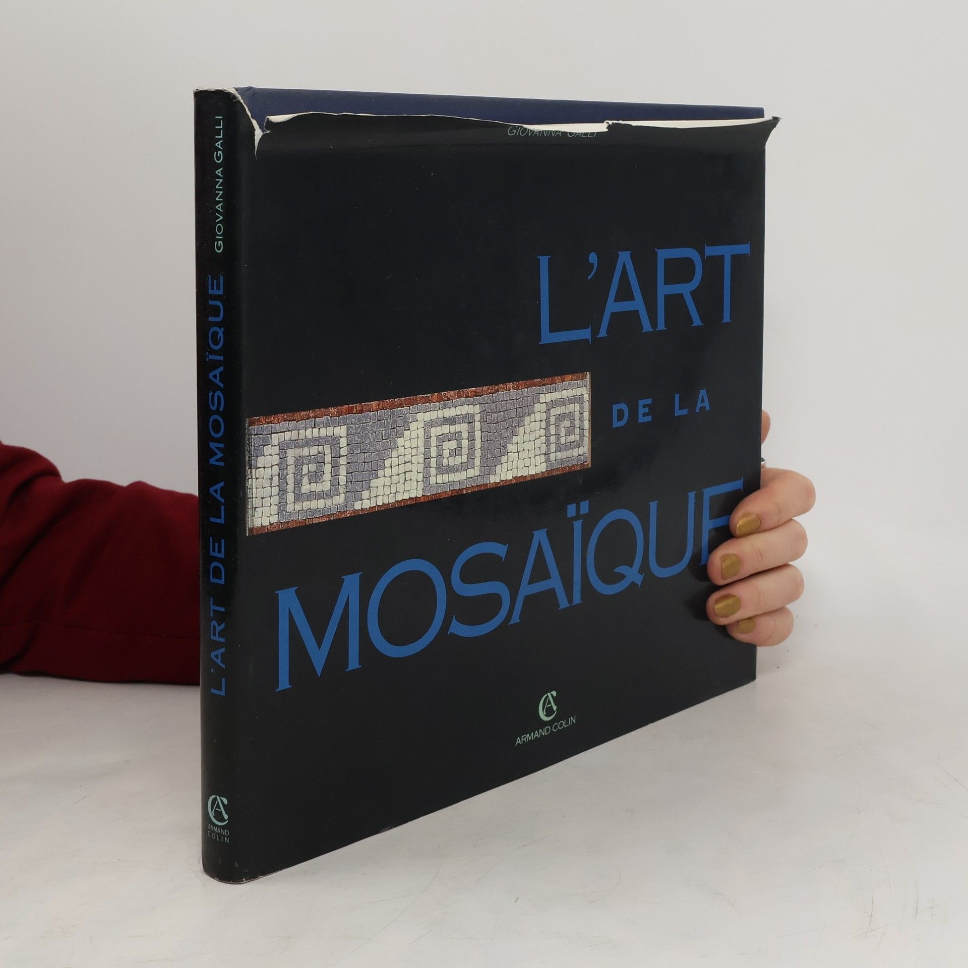 kolektiv L'art de la Mosaïque