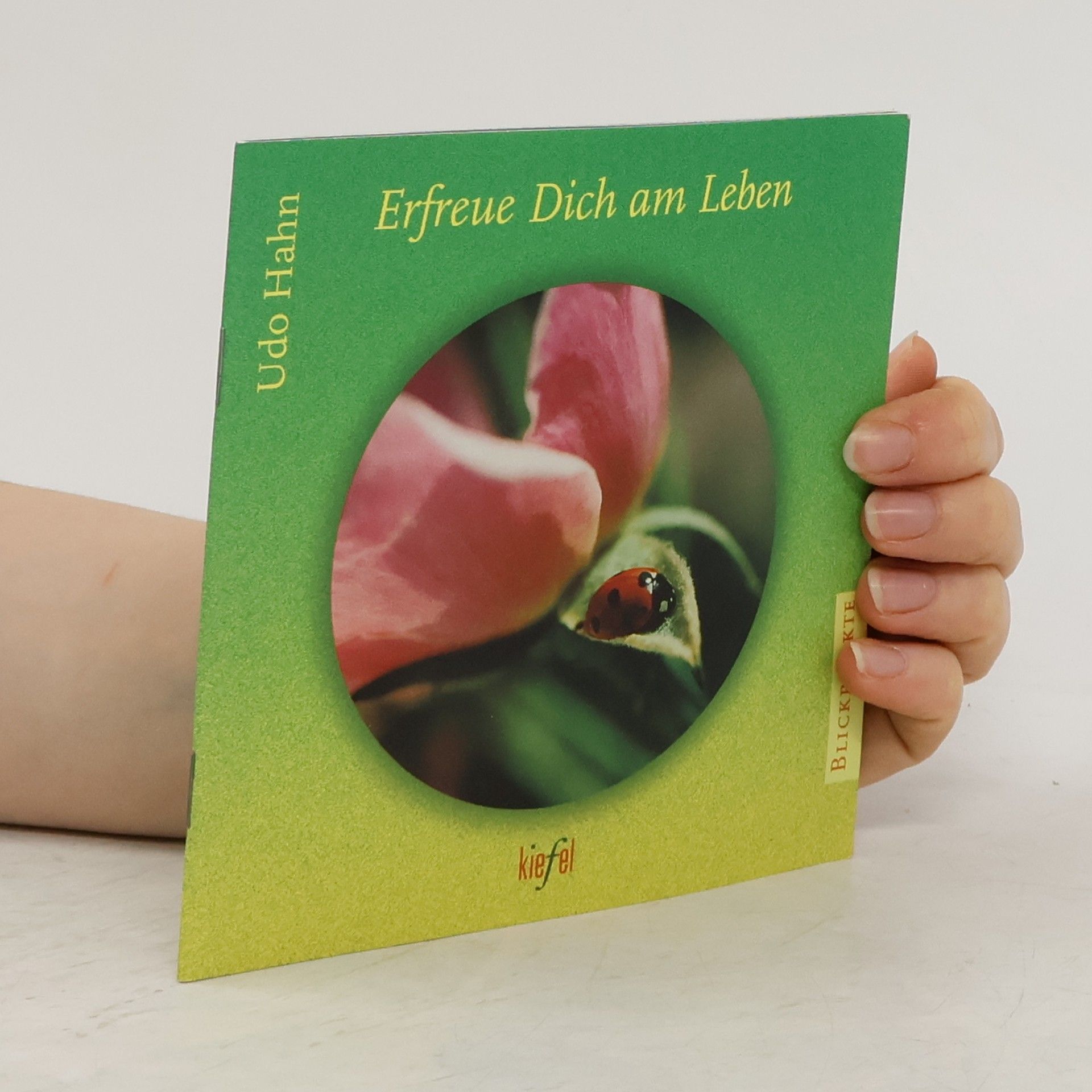 Udo Hahn Erfreue Dich am Leben