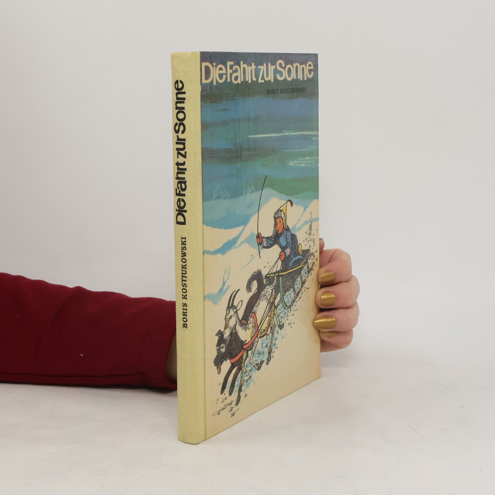 Boris Kostjukowski Die Fahrt zur Sonne