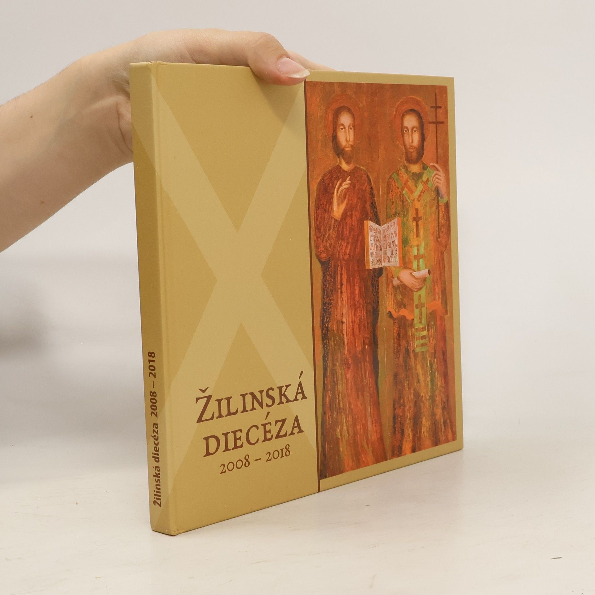 AA.VV. Žilinská diecéza 2008-2018