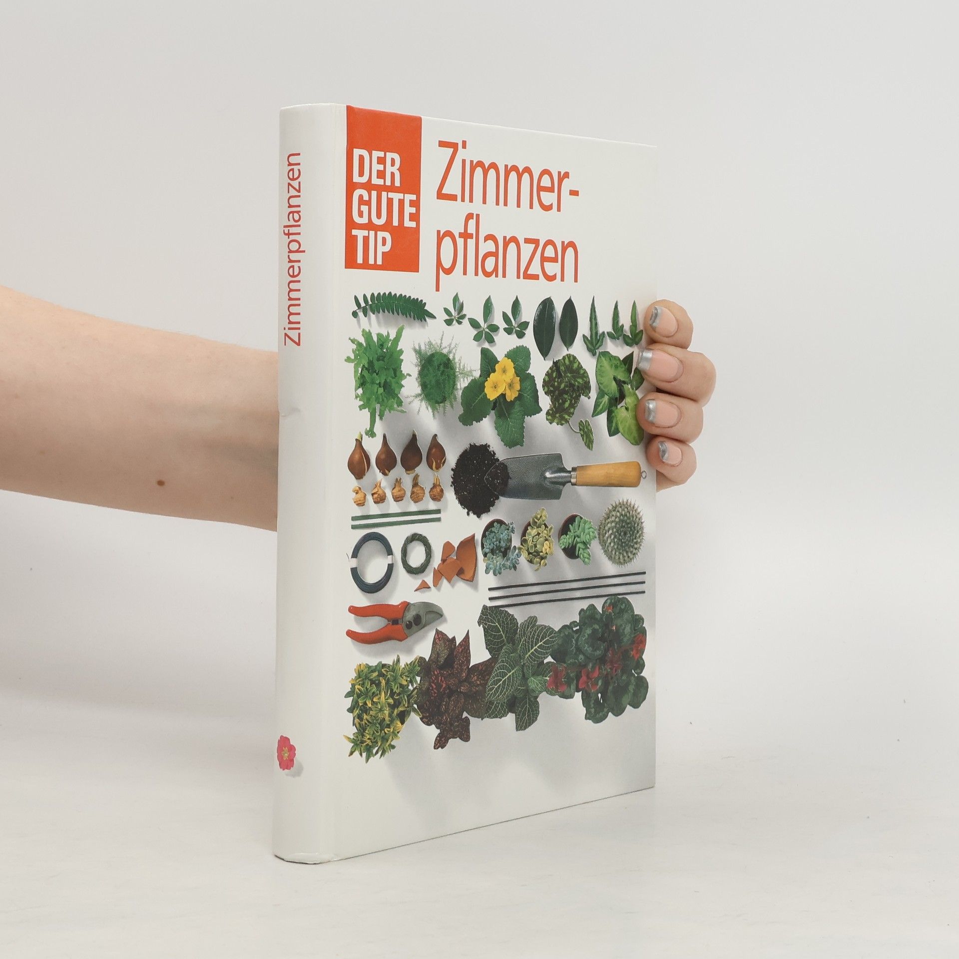 Collectif d'auteurs Zimmerpflanzen