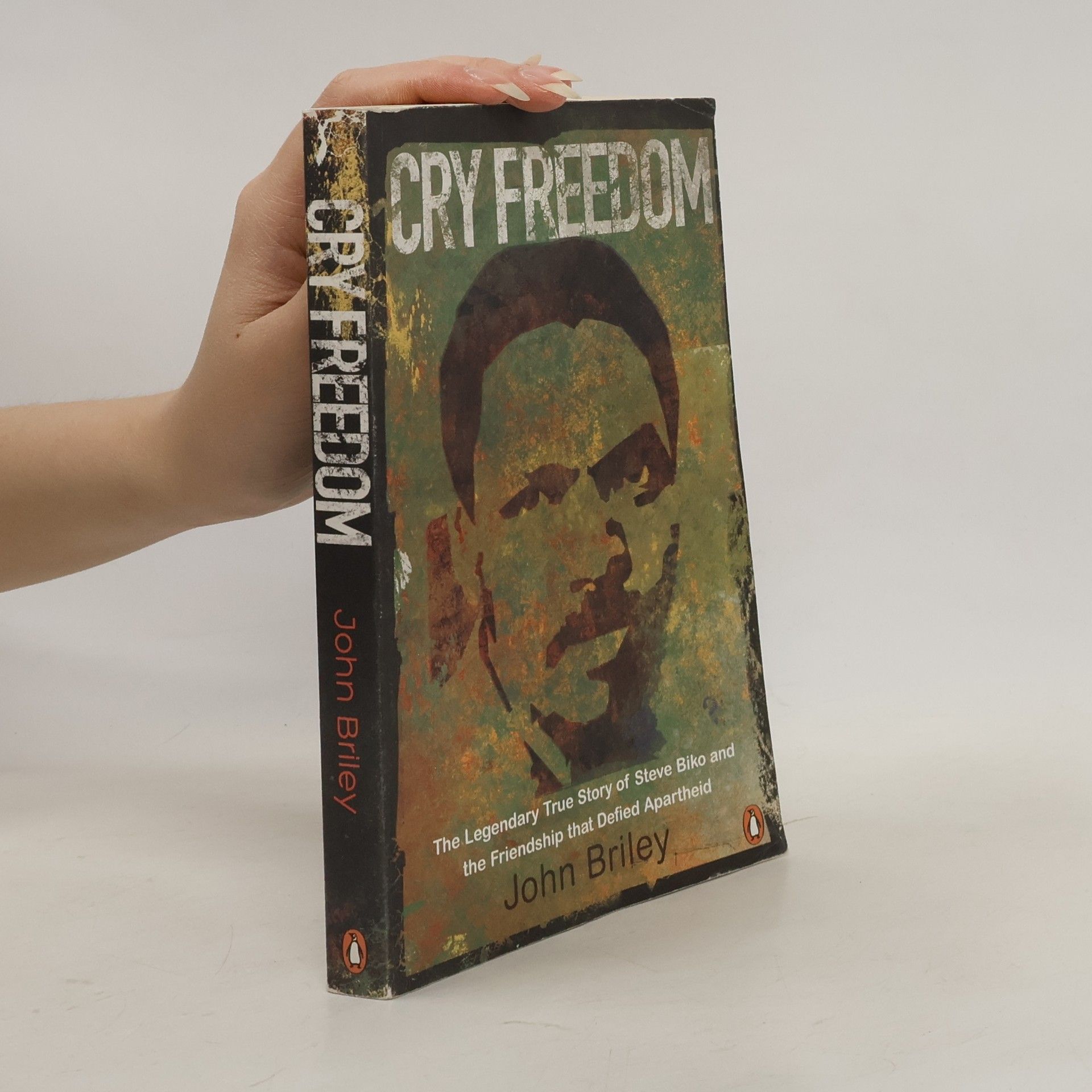 John Briley Cry Freedom