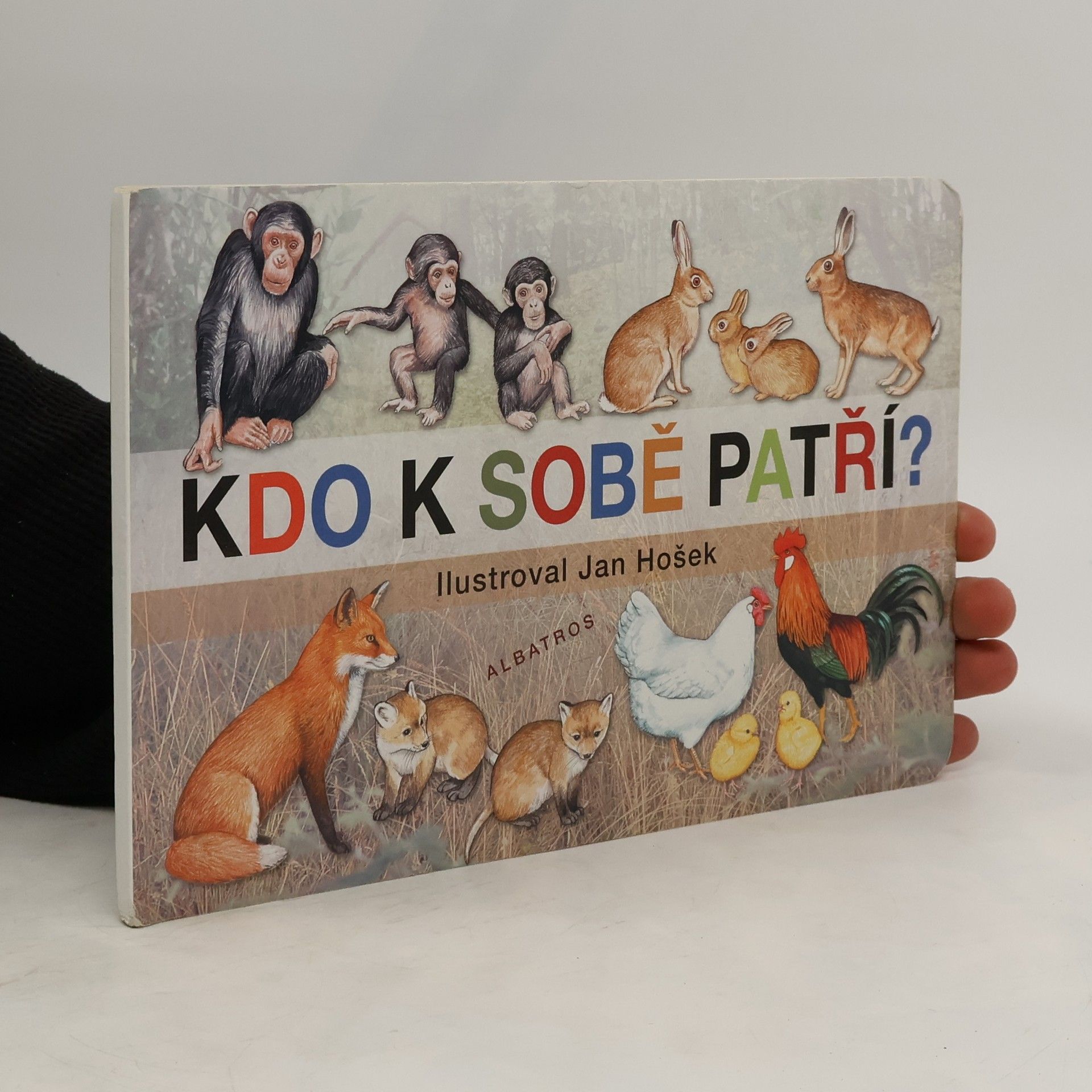 Jana Mikulecká Kdo k sobě patří