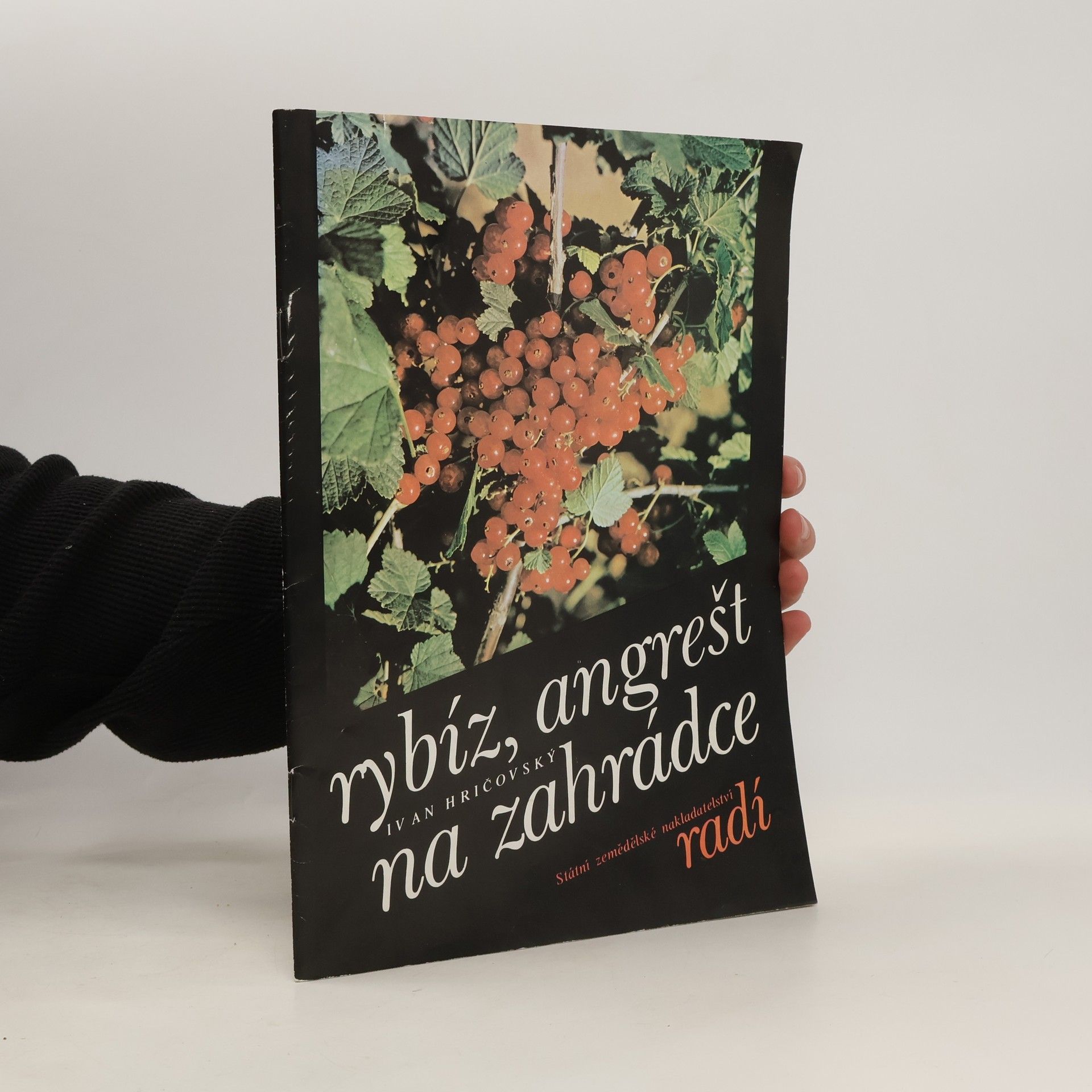 Ivan Hričovský Rybíz, angrešt na zahrádce