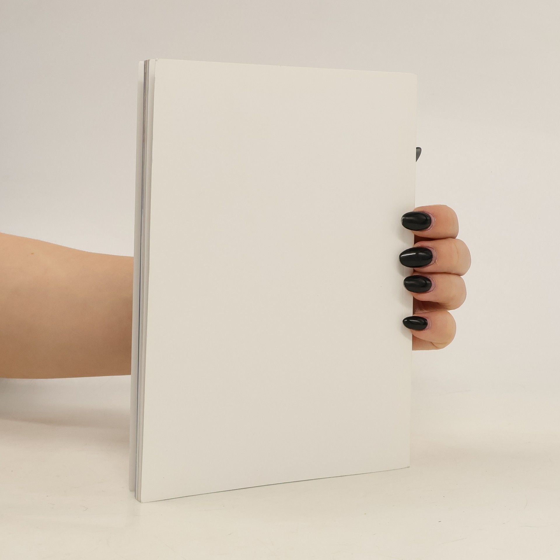 Autorenkollektiv Biischofsweihe und Amtseinführung