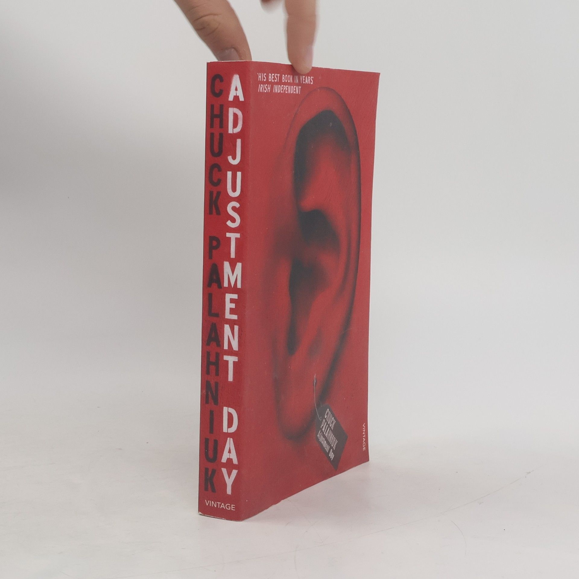 Chuck Palahniuk Adjustment day
