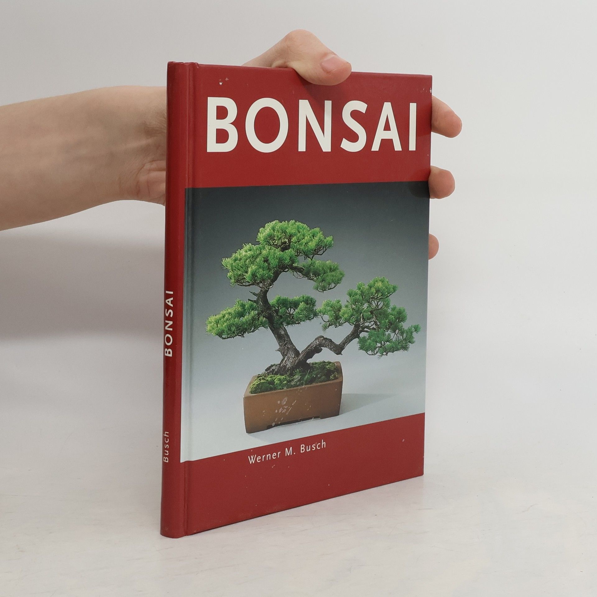 Autorenkollektiv Bonsai
