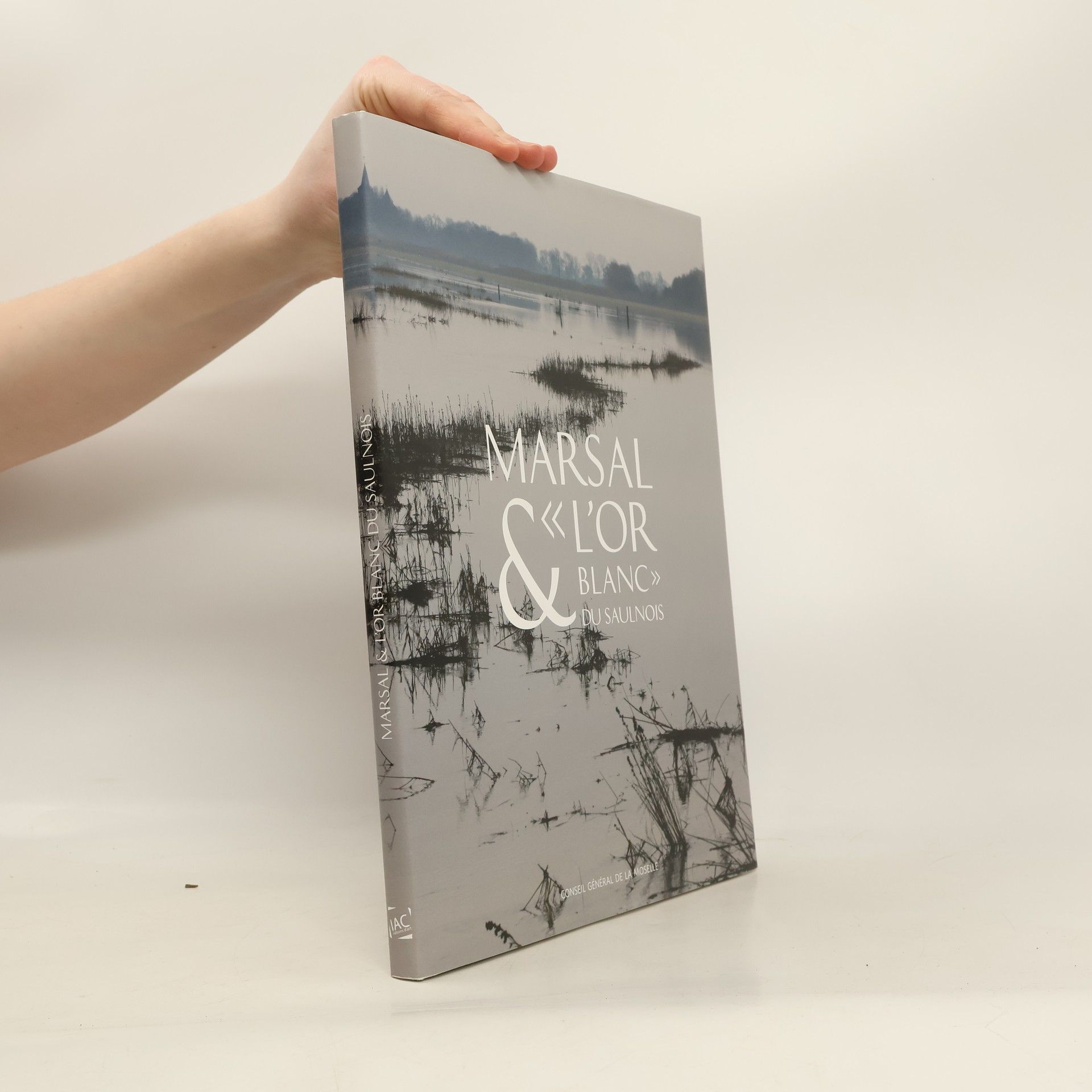 Philippe Hoch Marsal & l'or blanc du Saulnois