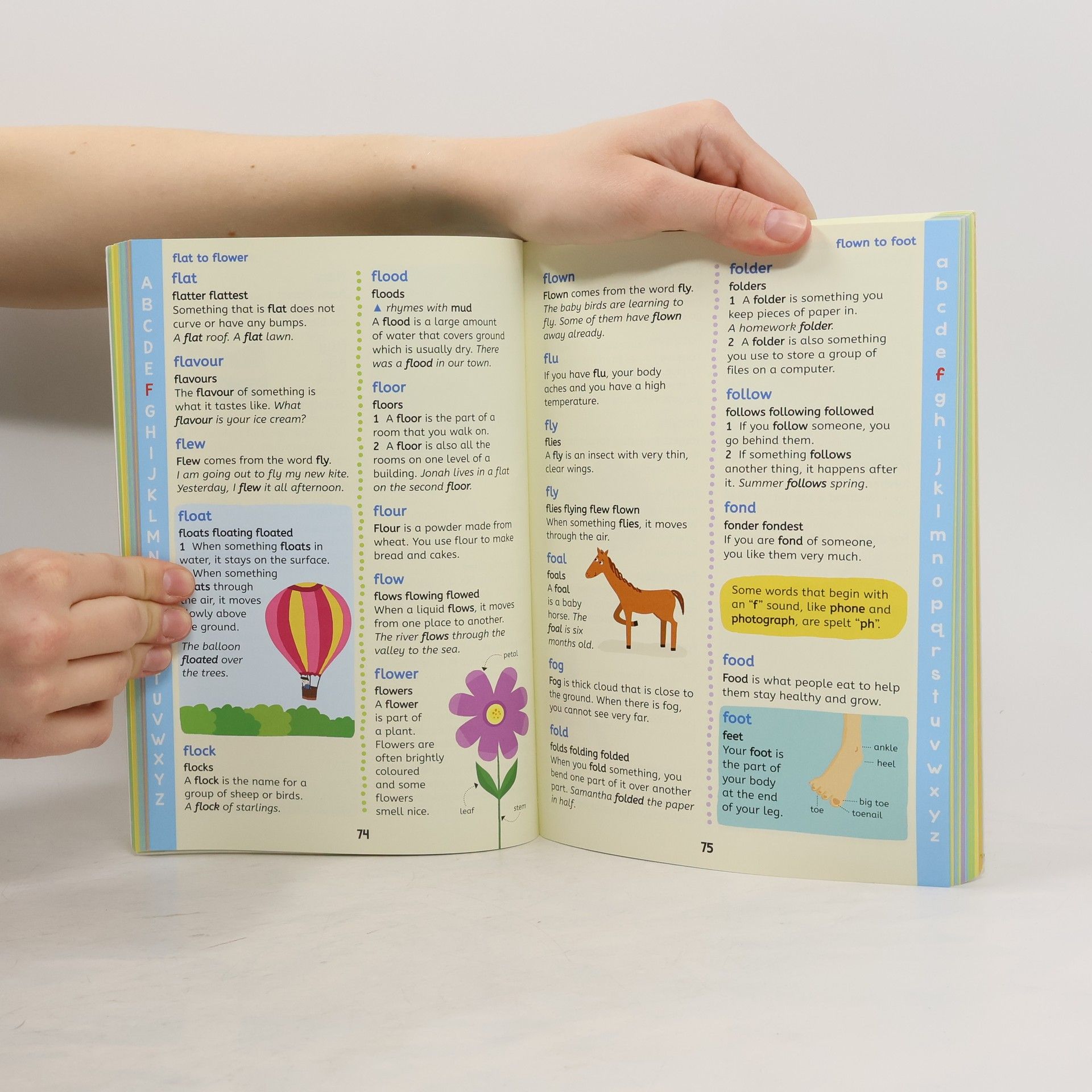 Jane Bingham First illustrated English dictionary