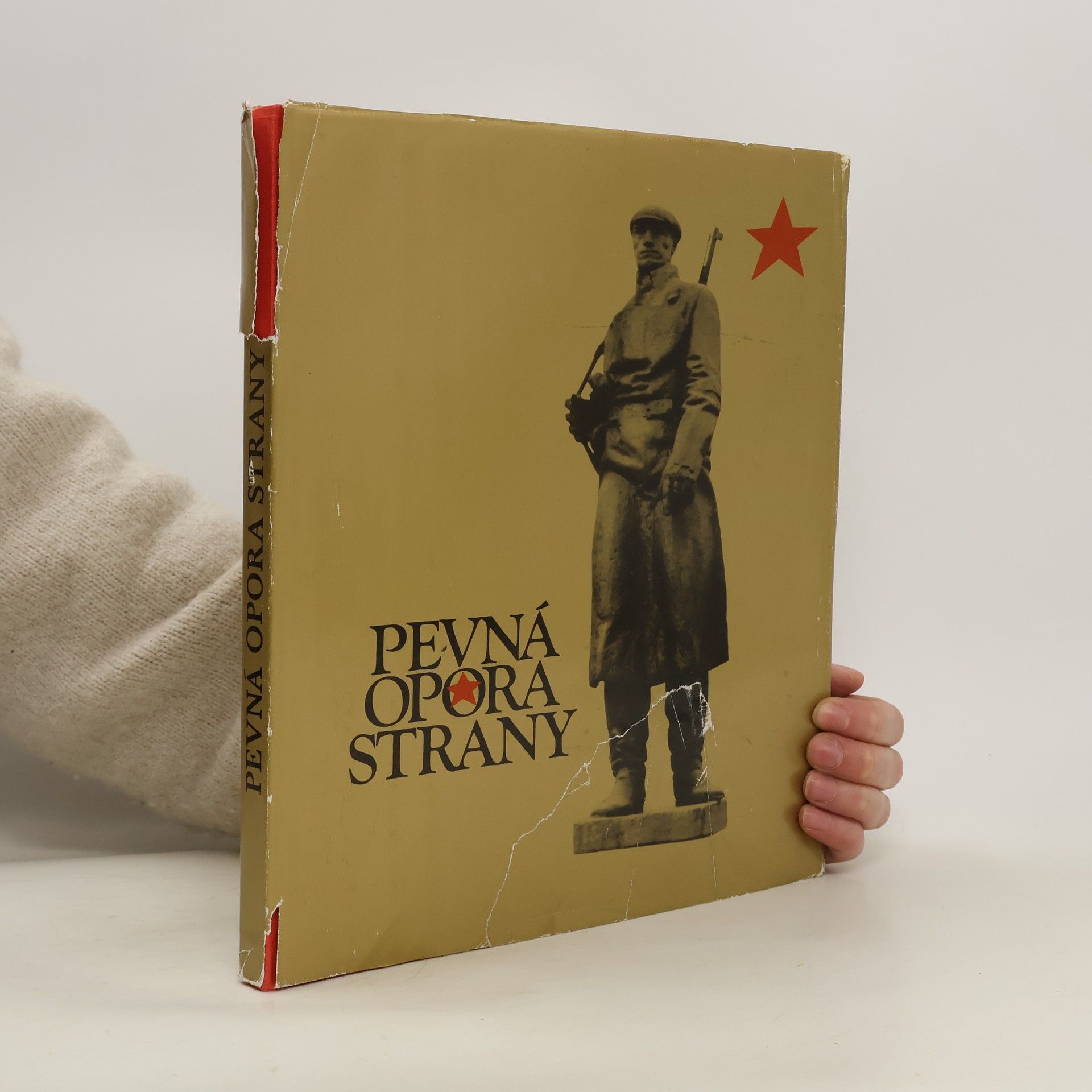 Kolektiv autorů Pevná opora strany