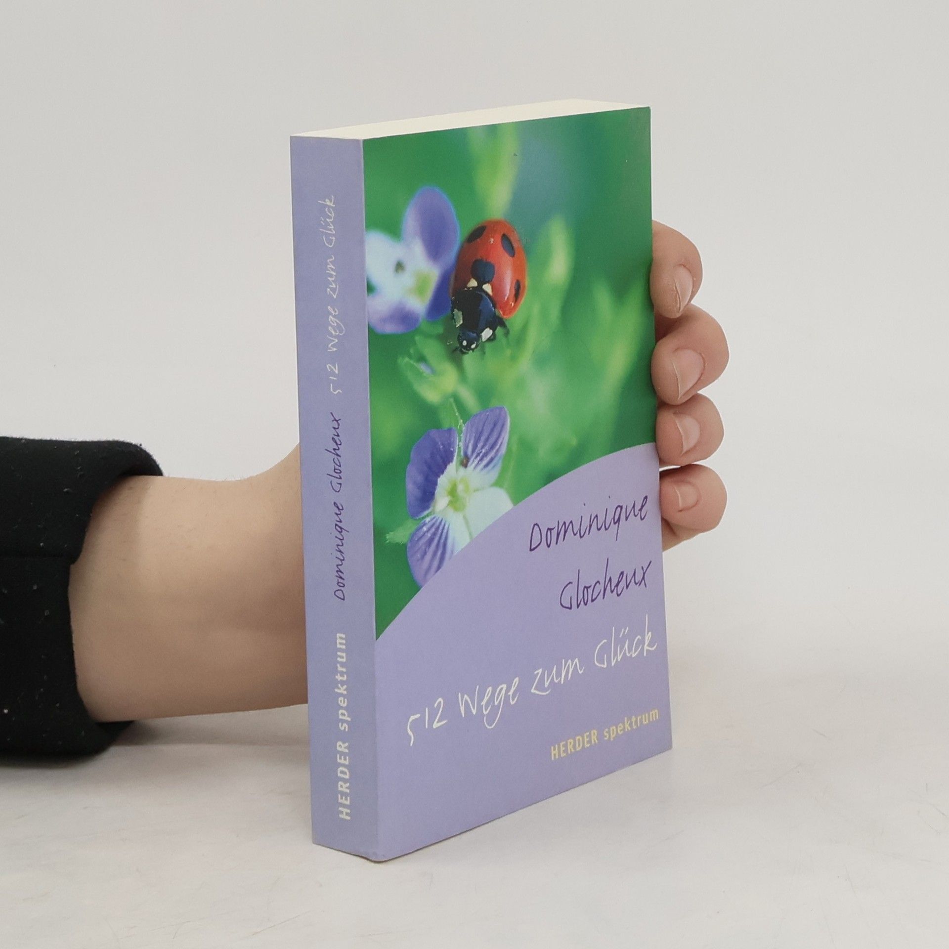 Dominique Glocheux 512 Wege zum Glück