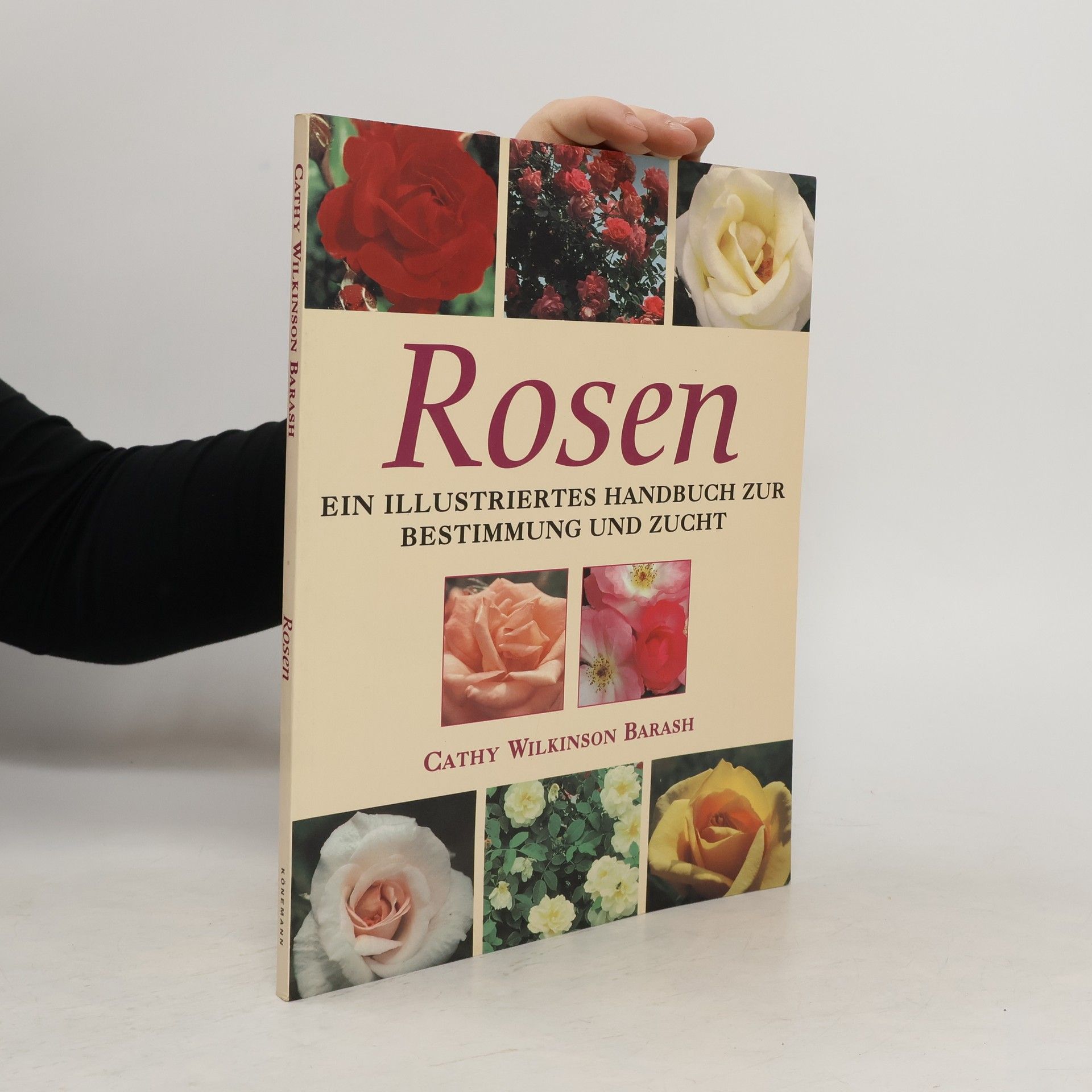 Cathy Wilkinson Barash Rosen