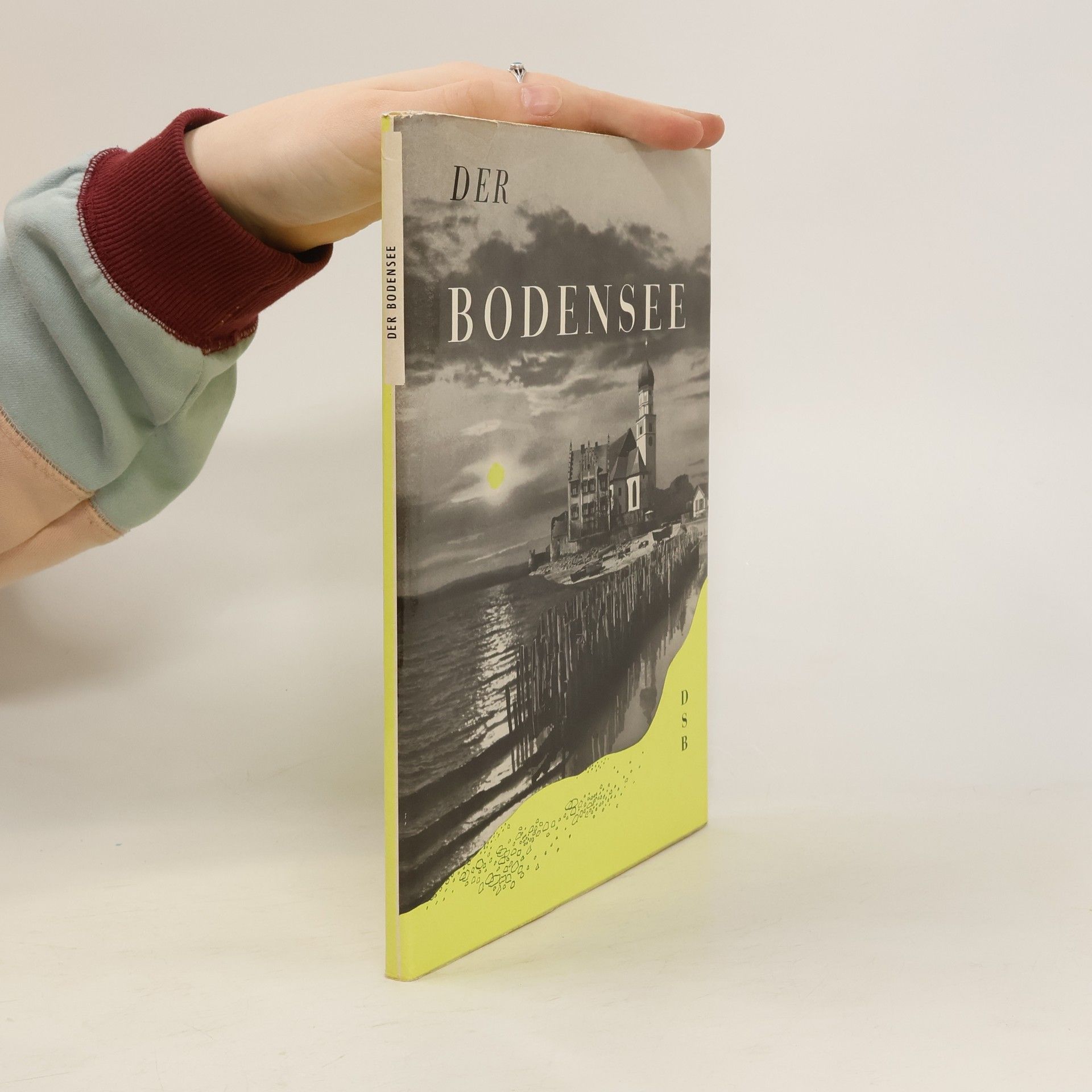 Collectif d'auteurs Der Bodensee