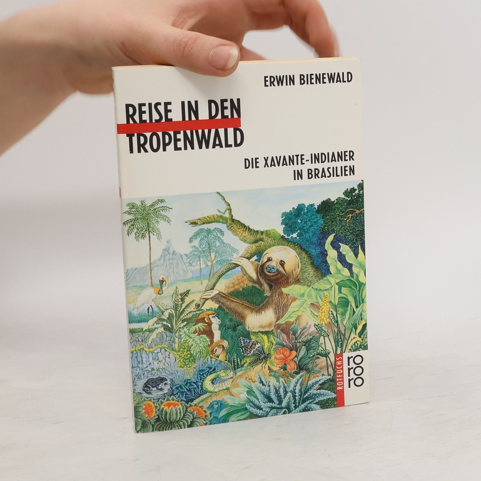 Erwin Bienewald Reise in den Tropenwald