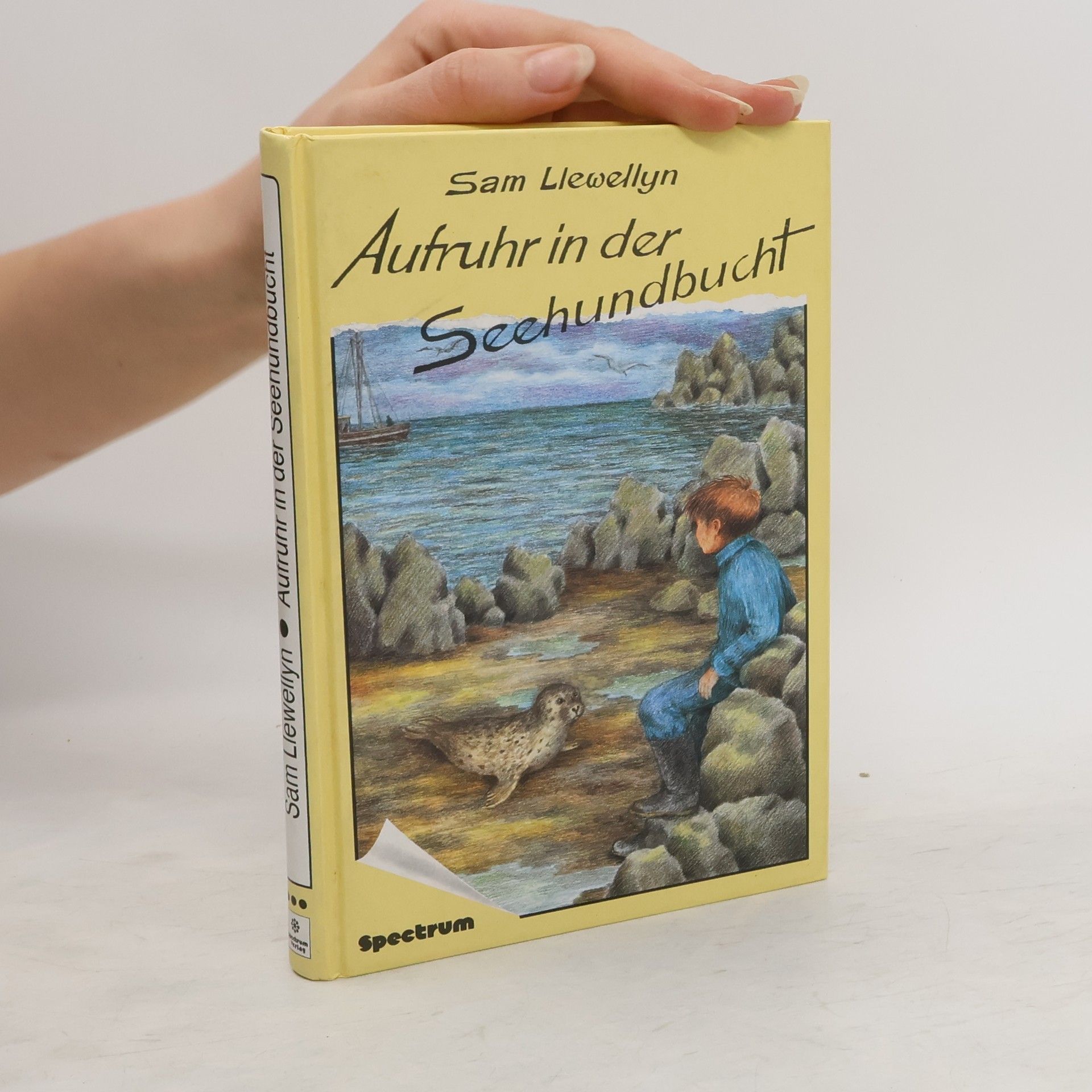 Sam Llewellyn Aufruhr in der Seehundbucht