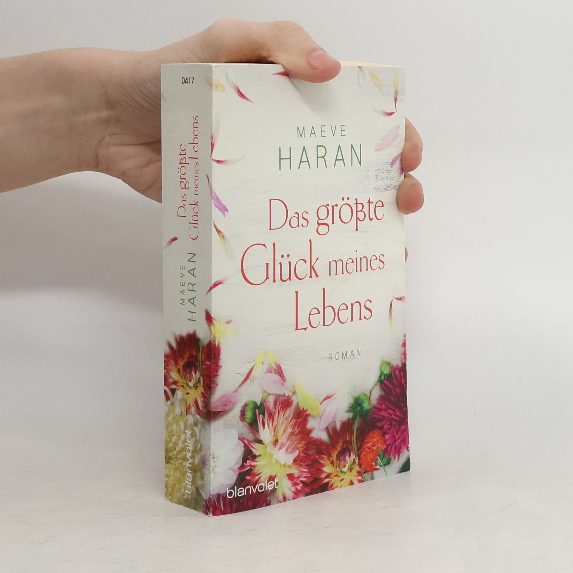 Maeve Haran Das größte Glück meines Lebens