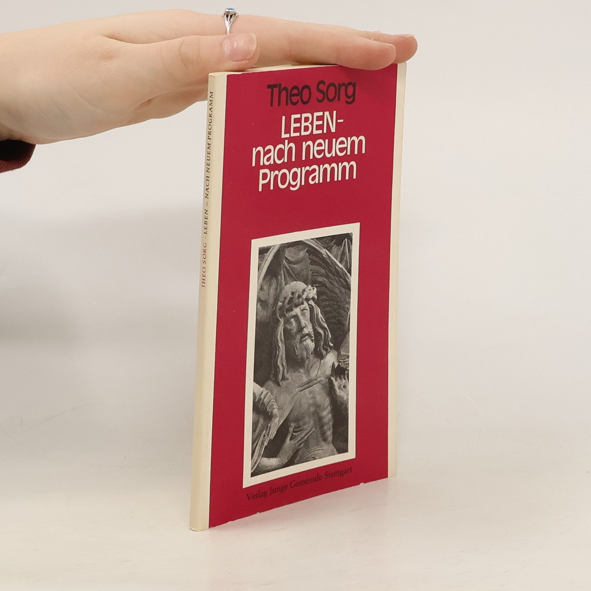 Theo Sorg Leben, nach neuem Programm