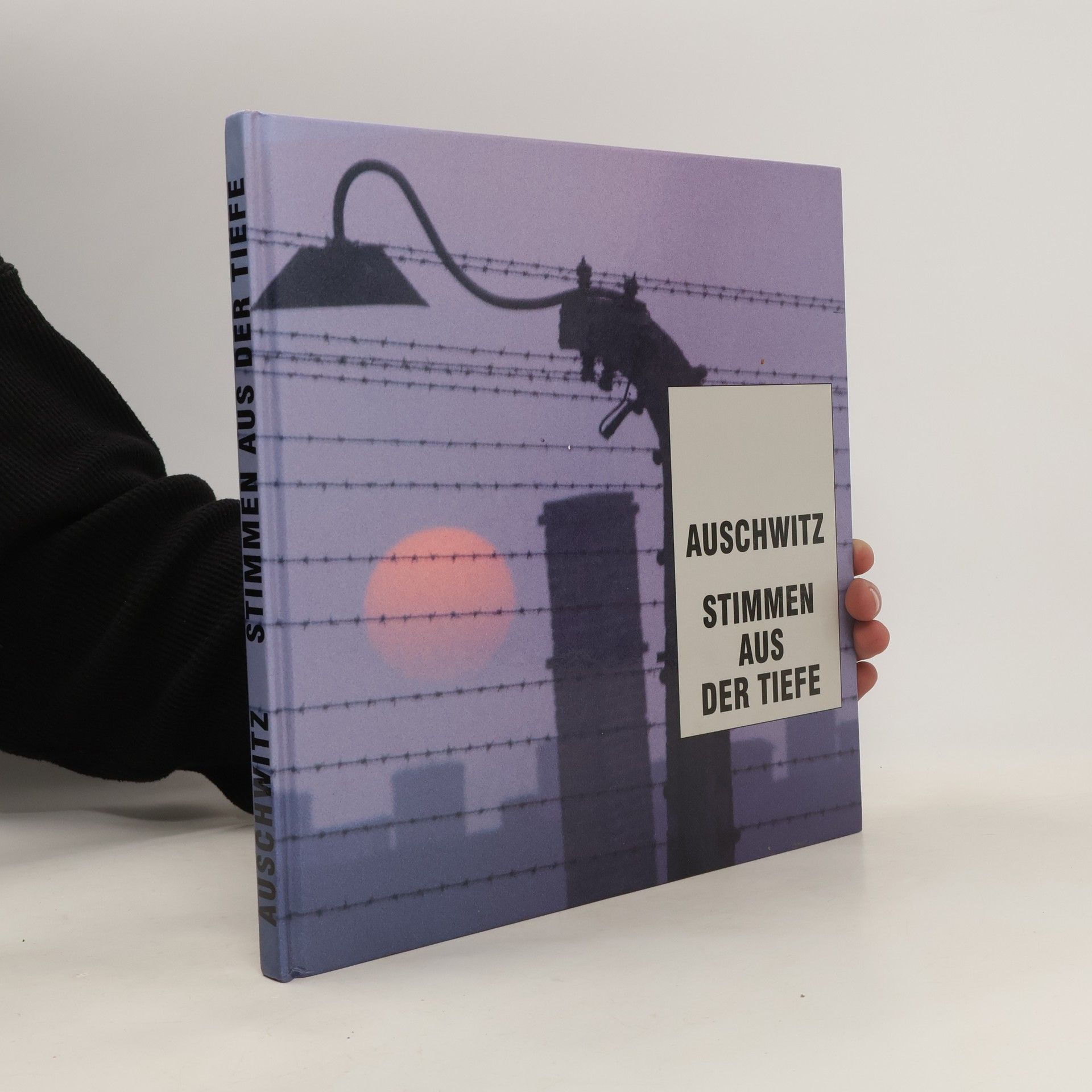 Collectif d'auteurs Auschwitz Stimmen aus der Tiefe