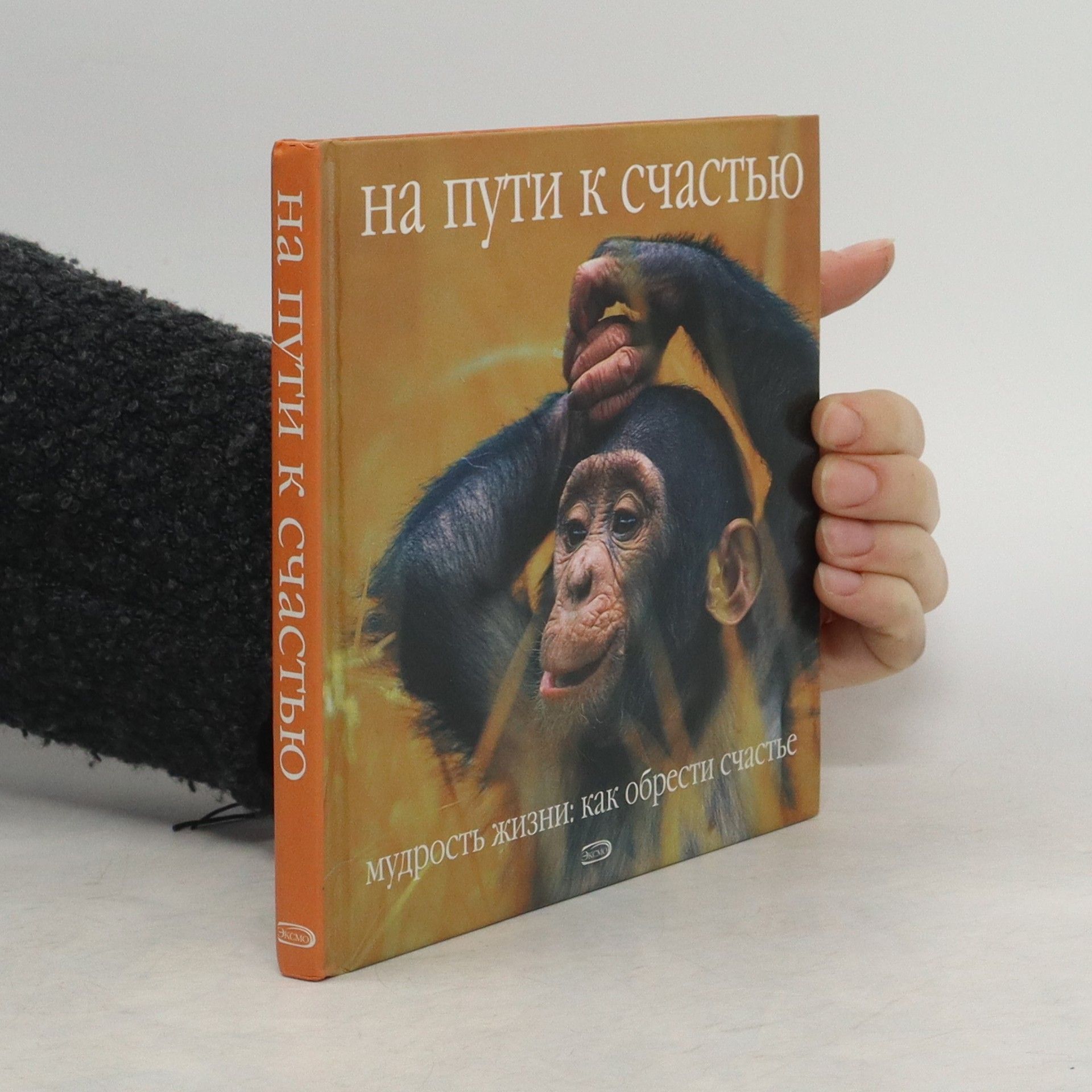 kolektiv На пути к счастью