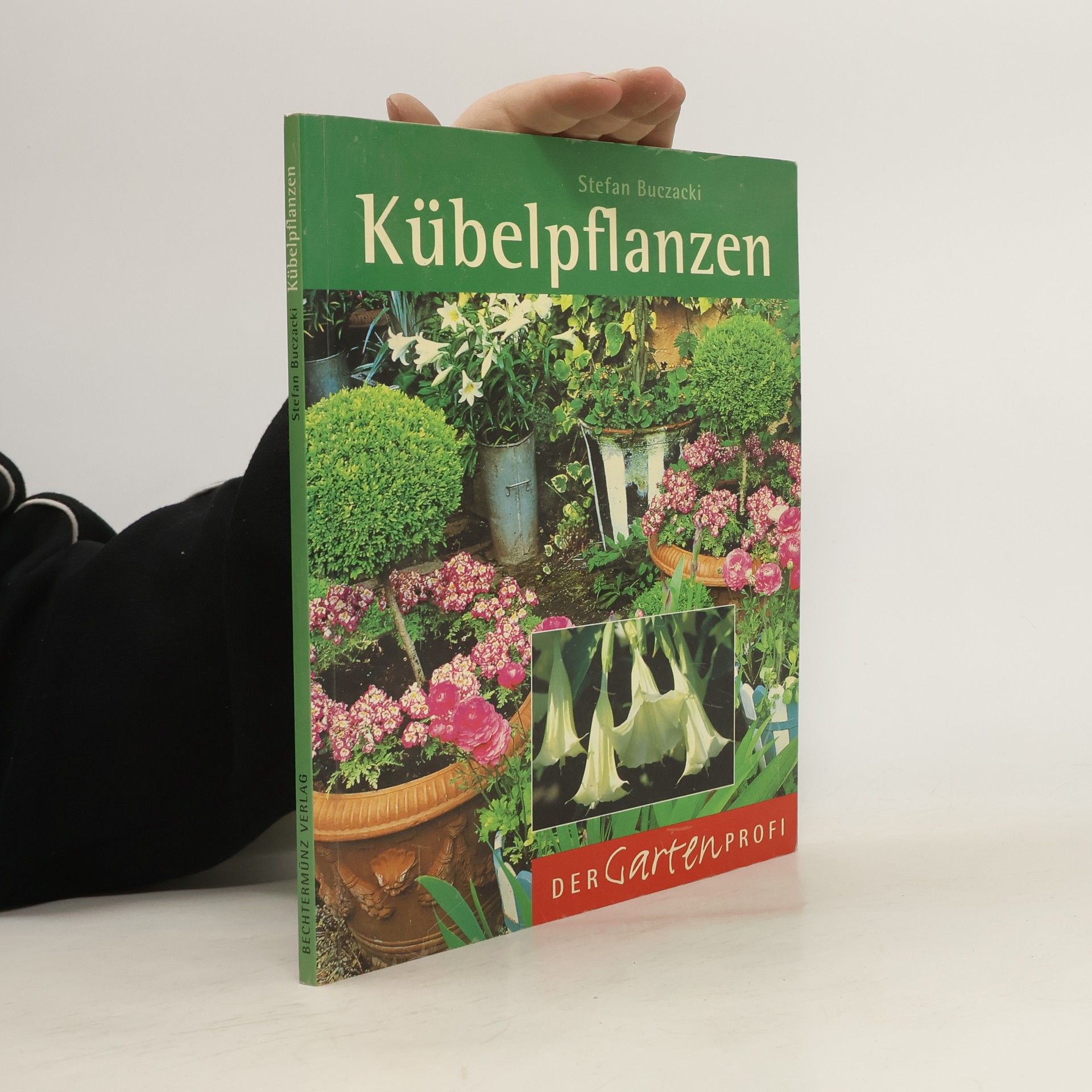 Collectif d'auteurs Kübelpflanzen