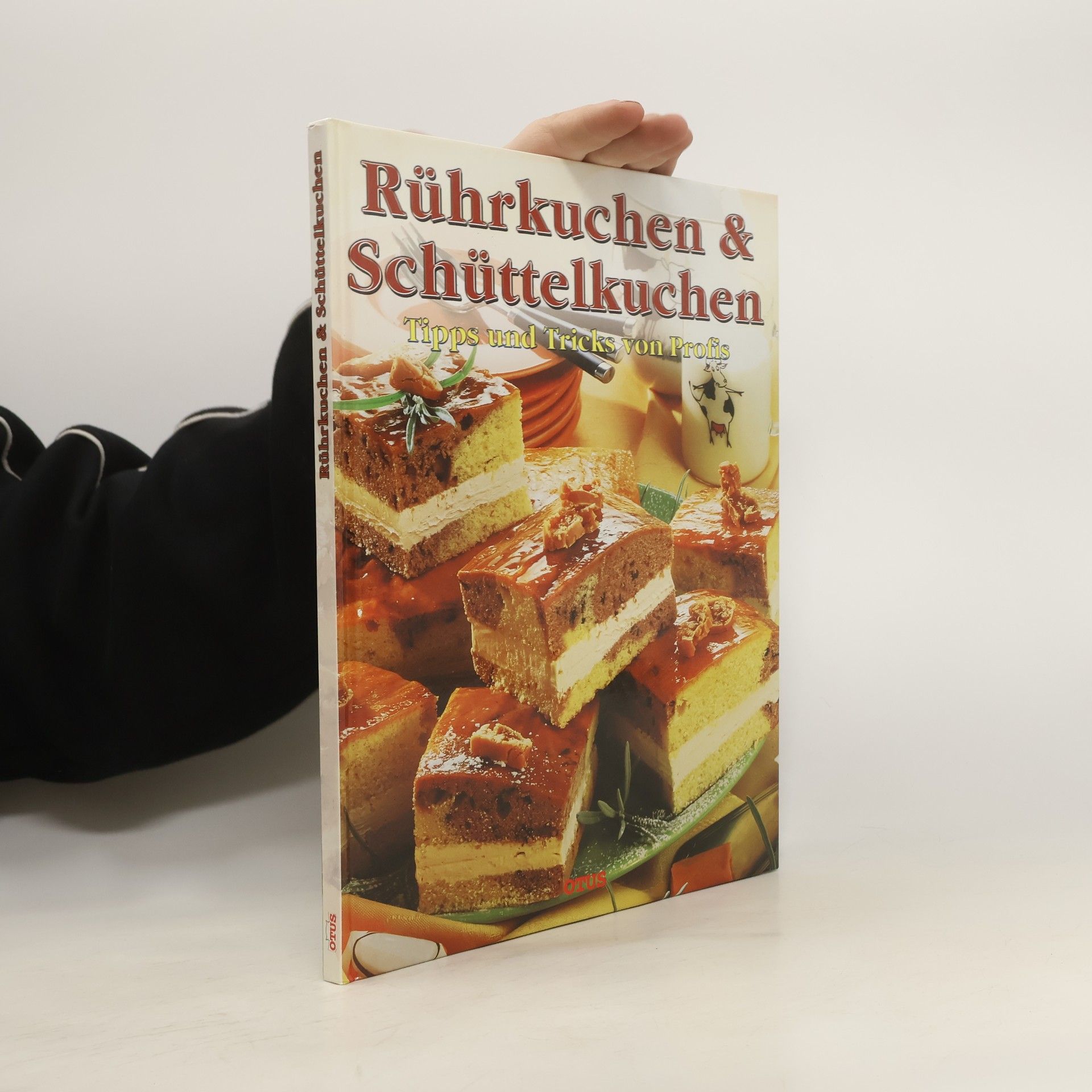 Autorenkollektiv Rührkuchen & Schüttelkuchen