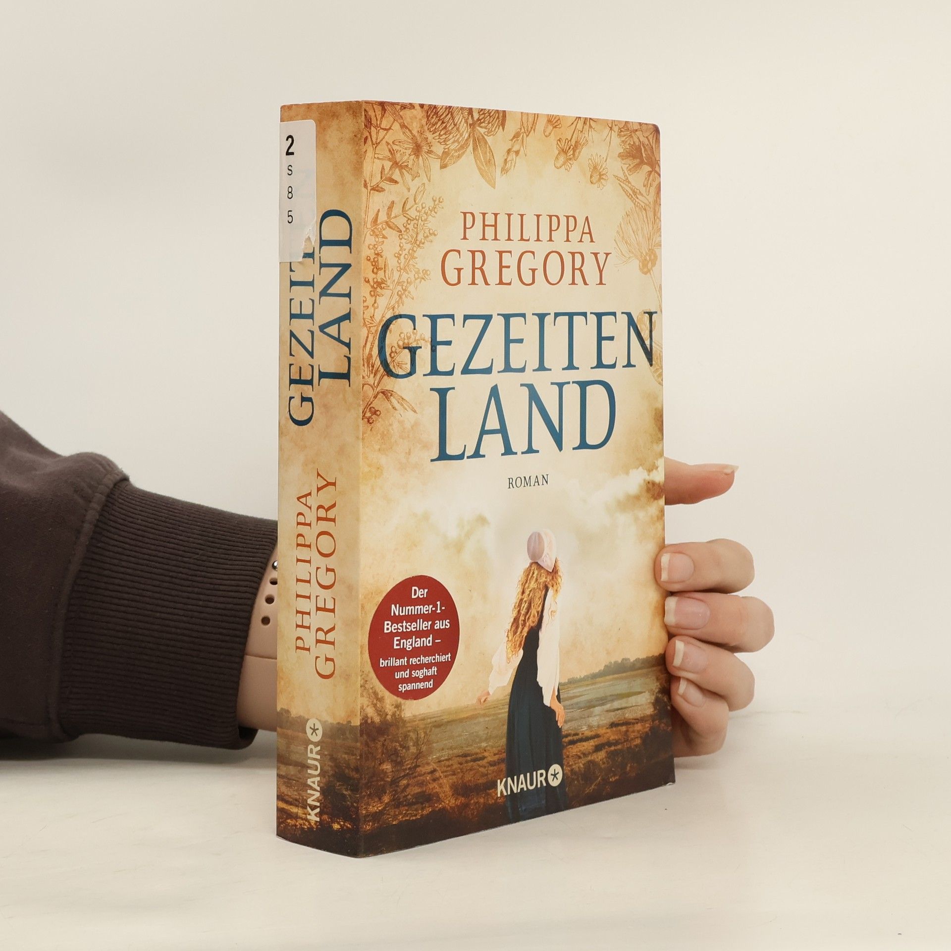 Philippa Gregory Gezeitenland