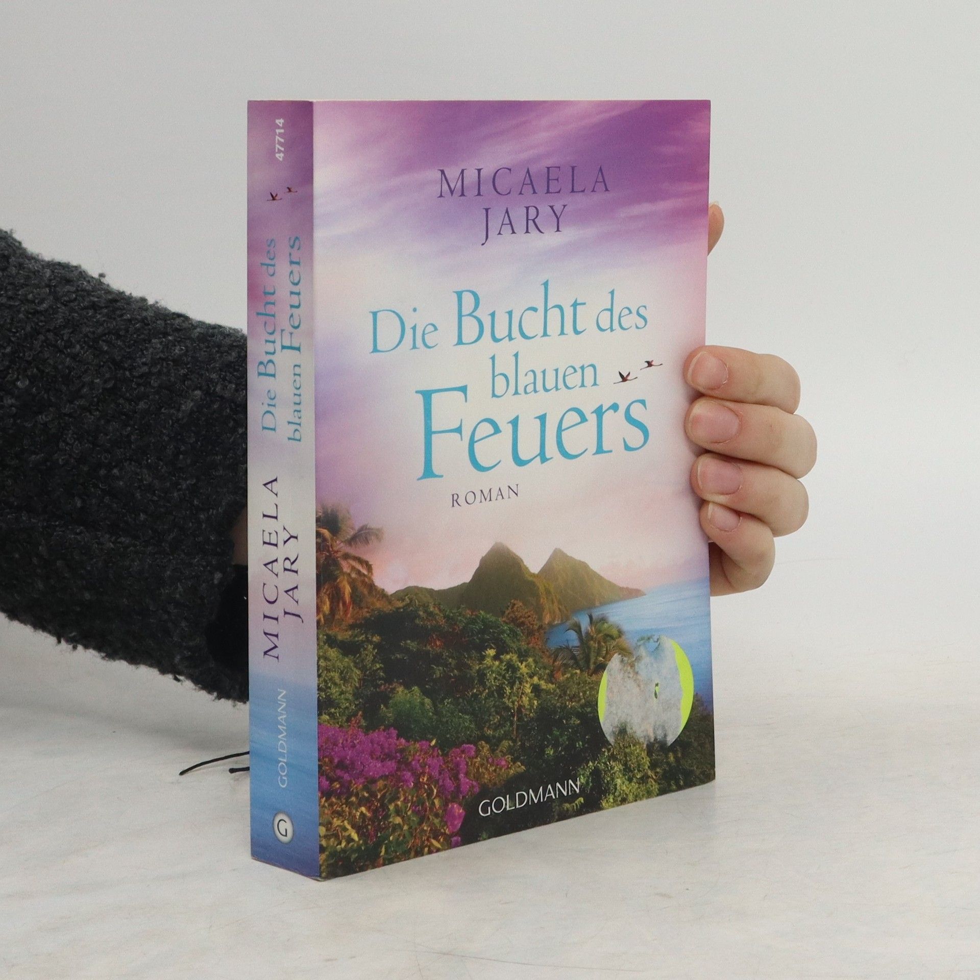Micaela Jary Die Bucht des blauen Feuers